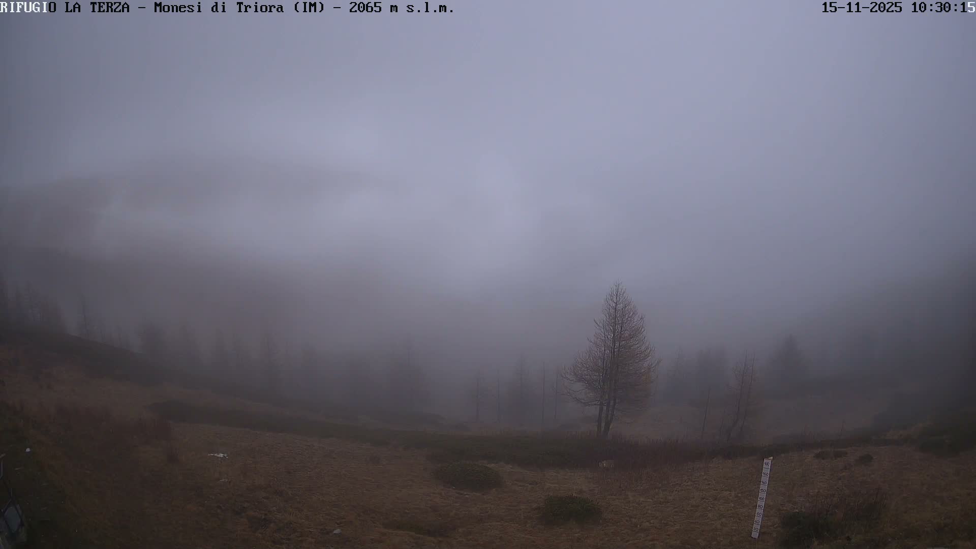 A very foggy and overcast mountain landscape features brown grassy slopes, scattered bare trees, and extremely low visibility.