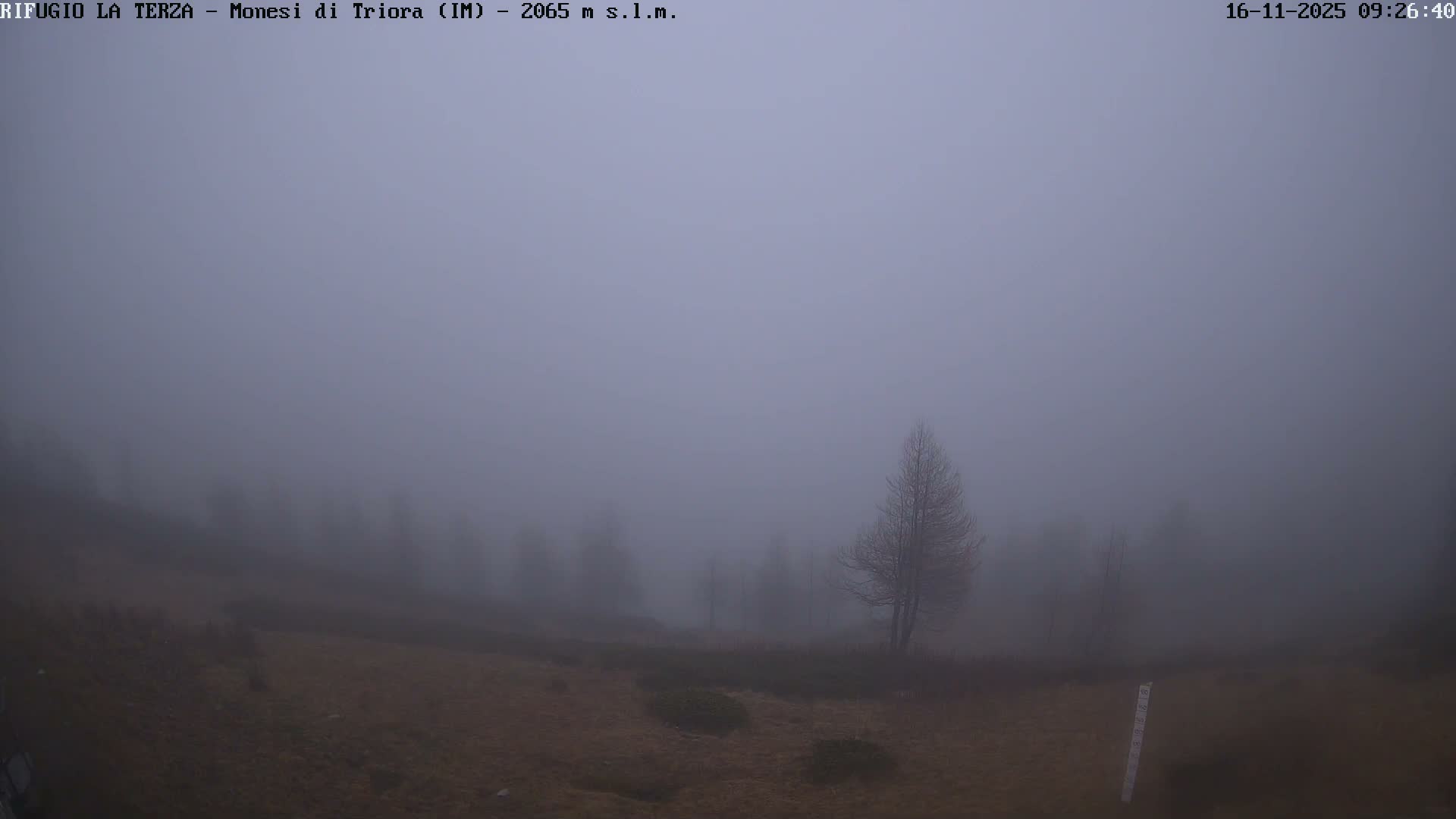 A dense fog envelops a desolate landscape featuring bare trees and dry, brown ground, with visibility significantly reduced.