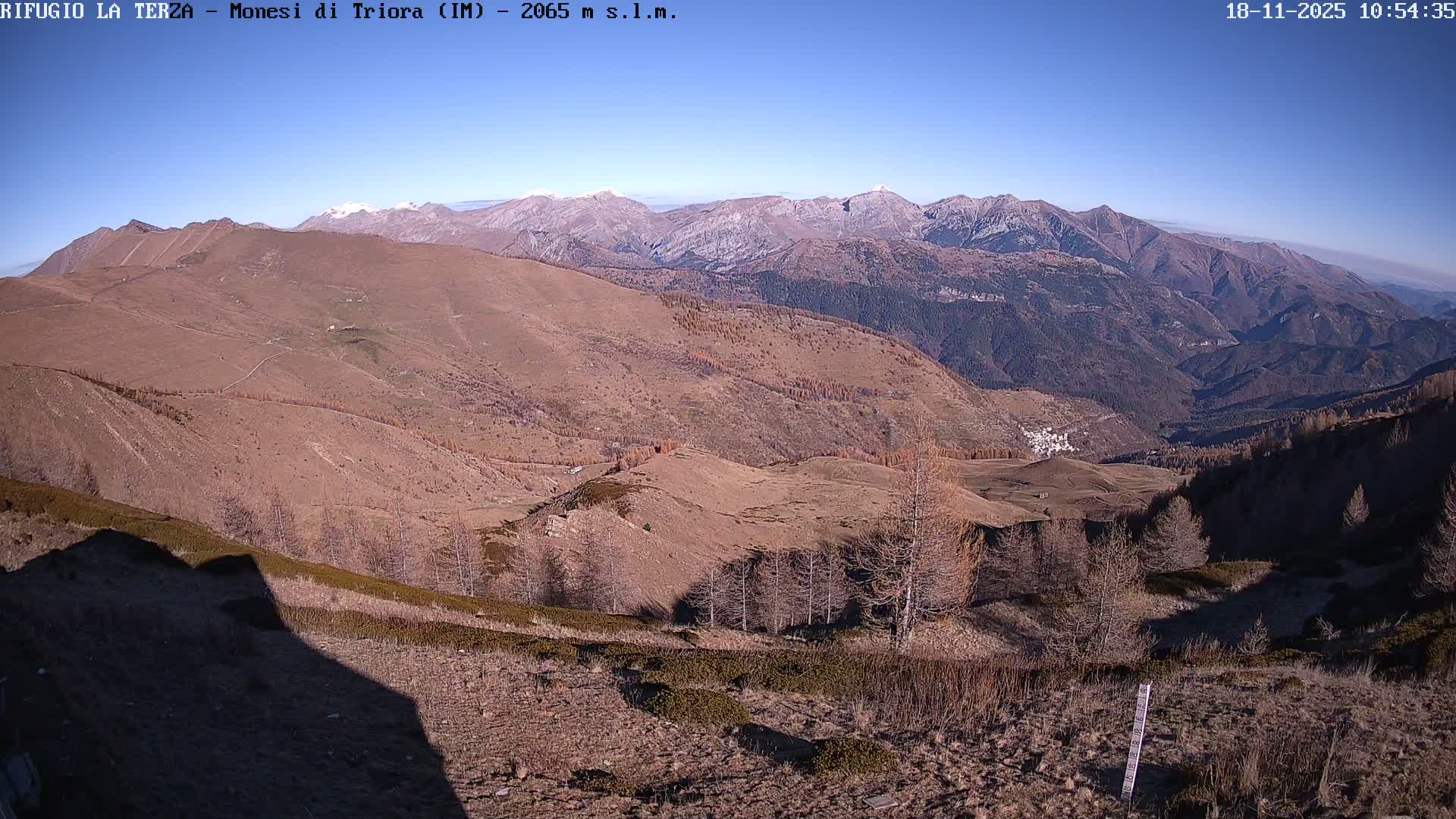 A dense fog envelops a desolate landscape featuring bare trees and dry, brown ground, with visibility significantly reduced.