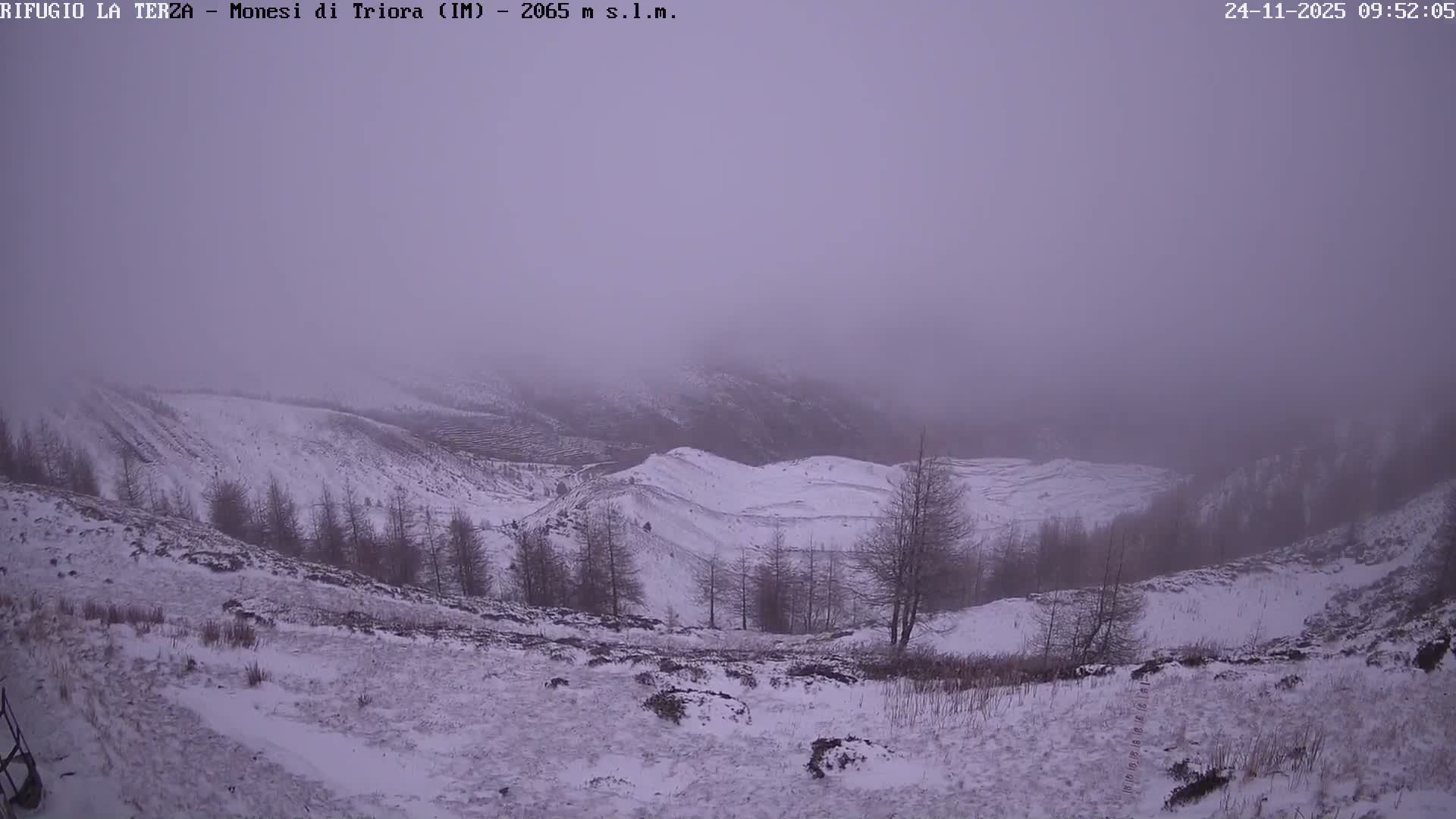 A snow-covered mountainous landscape appears muted under a heavy fog and overcast sky, with bare trees dotting the hillsides.