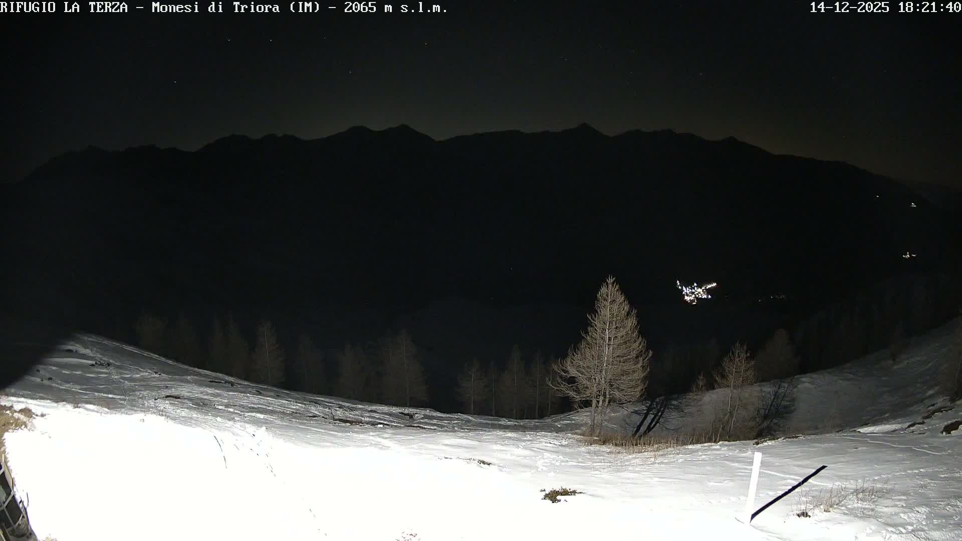 A snowy mountain vista extends under a partly cloudy sky, showcasing snow-dusted bare trees on the slopes and rugged, snow-capped peaks in the background.