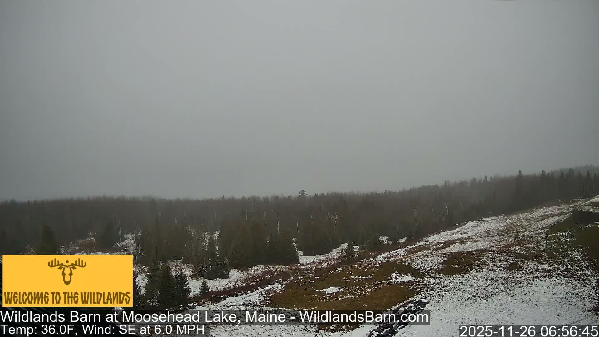 The image displays an extremely dark, clear night outdoors with only a few faint light specks discernible against the black background.