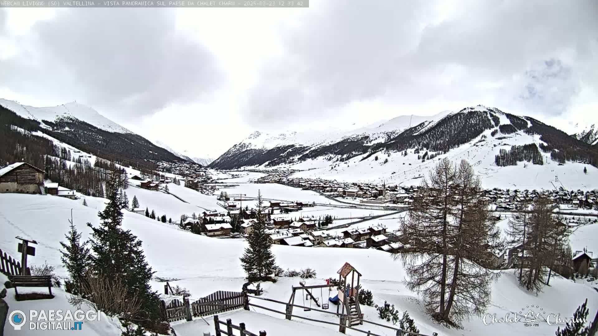 A snow-covered mountain village is seen from a hillside, under an overcast sky.