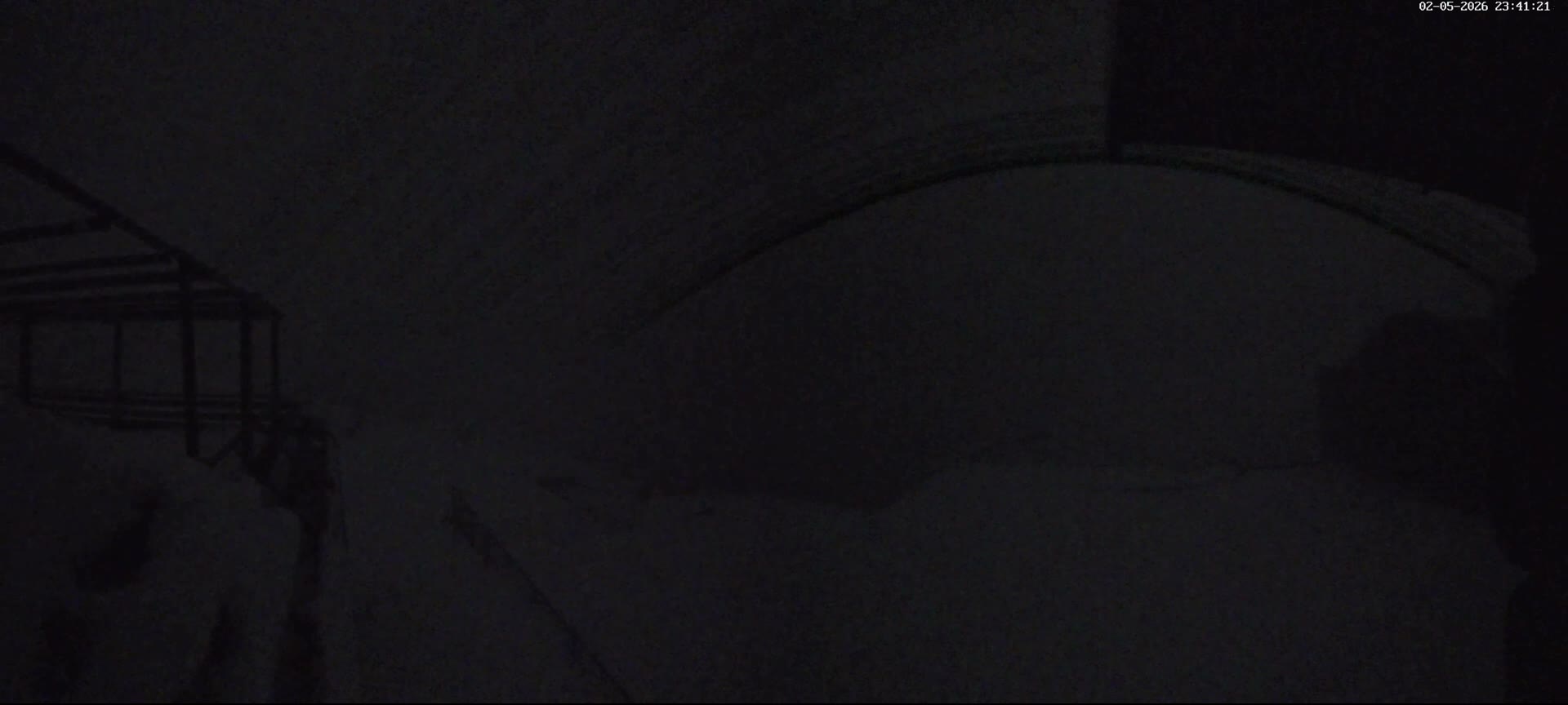 Val-d'Aigoual, Mont Aigoual South Summit (Sommet Sud) Live Cam -   Le Vigan, Gard, Occitanie, France
