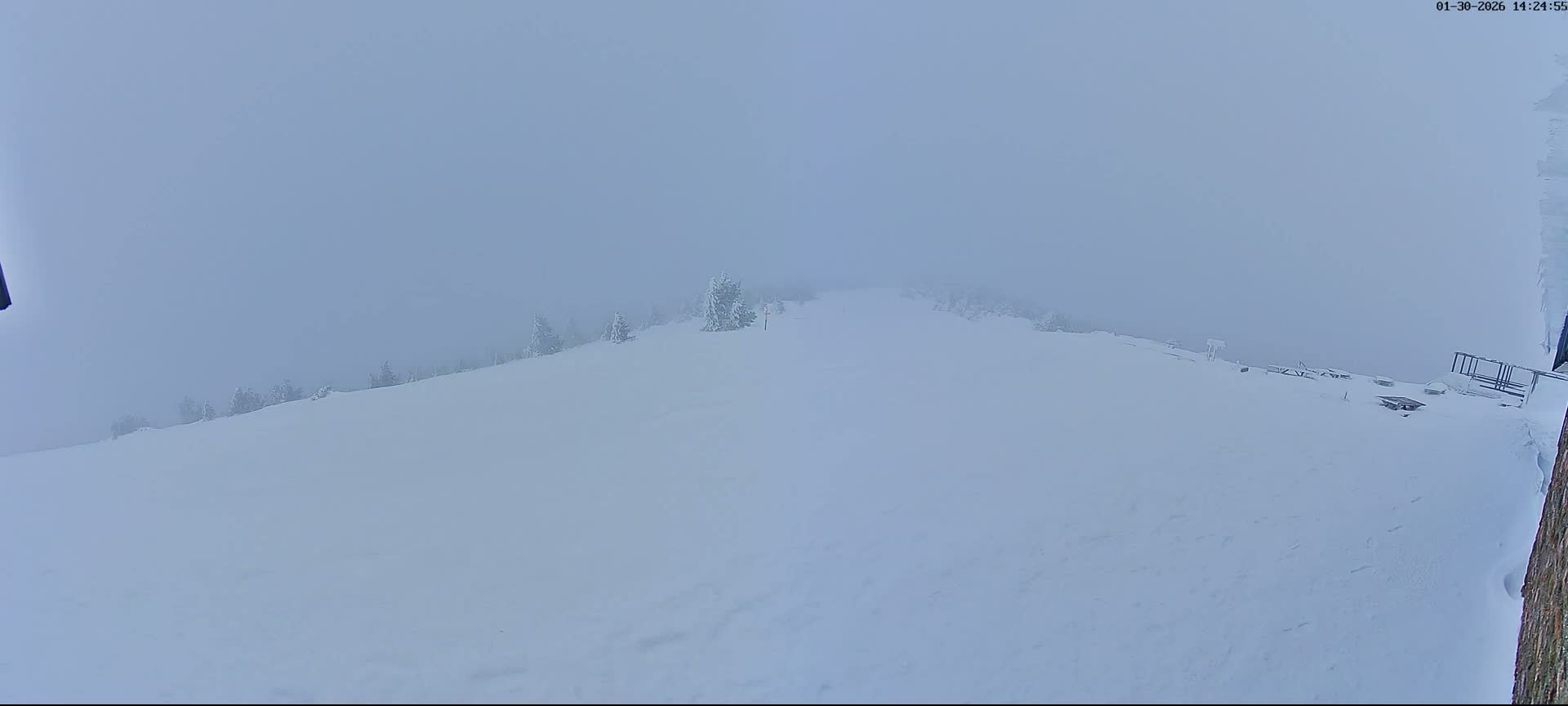 Val-d'Aigoual, Mont Aigoual East Summit (Sommet Est) Live Cam - Le Vigan, Gard, Occitanie, France