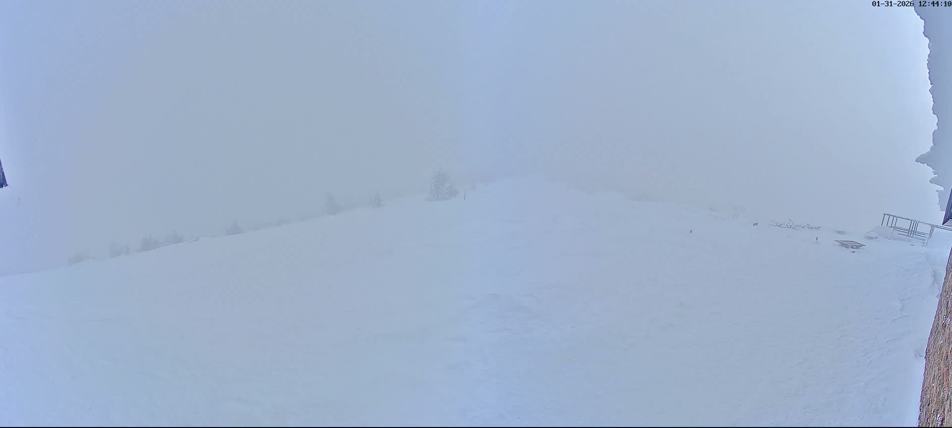 Val-d'Aigoual, Mont Aigoual East Summit (Sommet Est) Live Cam - Le Vigan, Gard, Occitanie, France