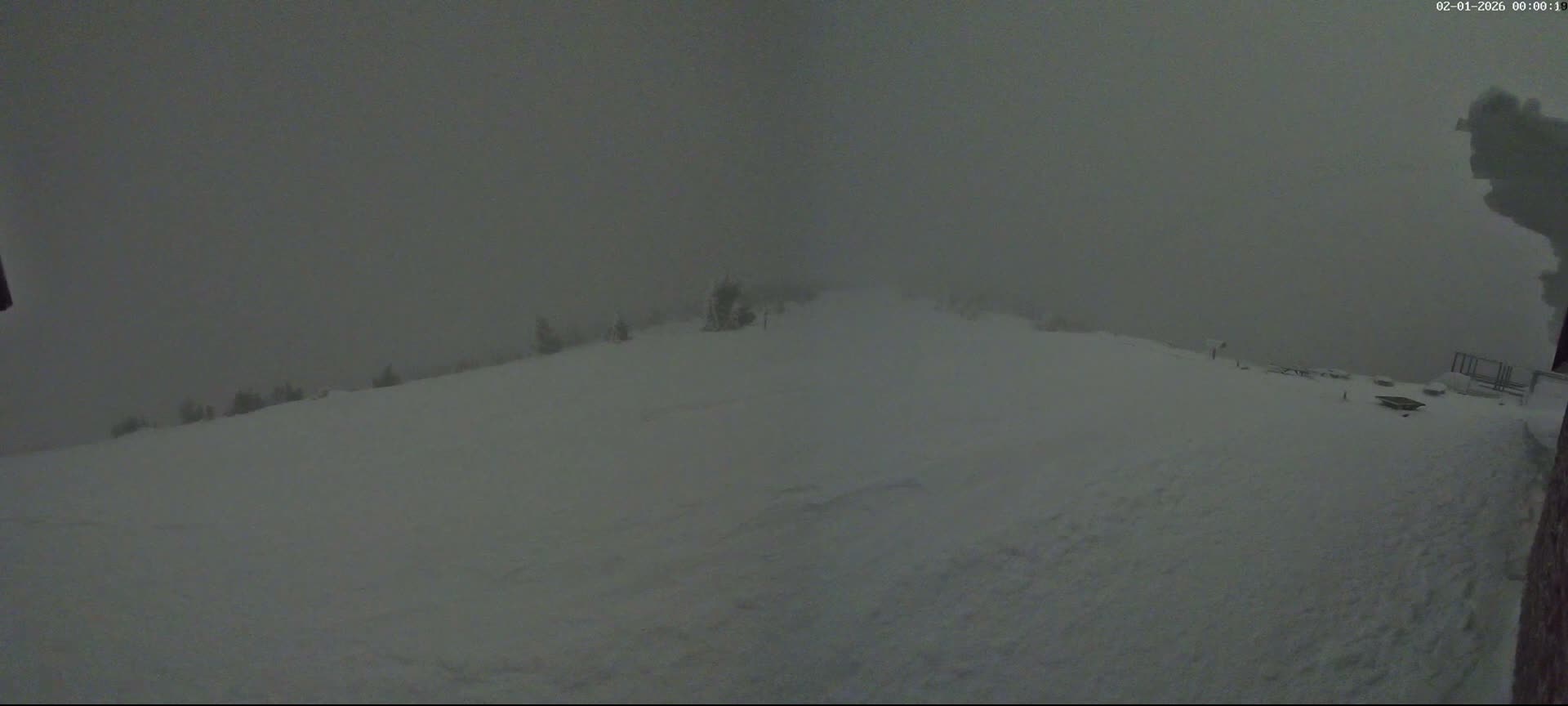 Val-d'Aigoual, Mont Aigoual East Summit (Sommet Est) Live Cam - Le Vigan, Gard, Occitanie, France
