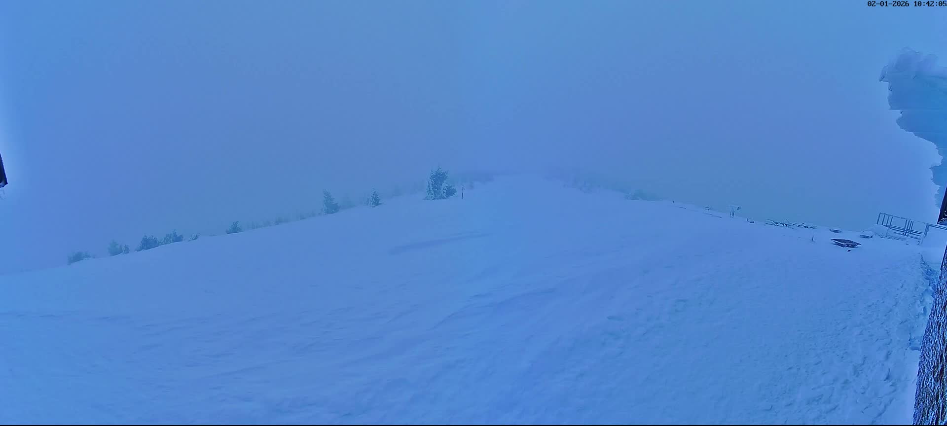 Val-d'Aigoual, Mont Aigoual East Summit (Sommet Est) Live Cam - Le Vigan, Gard, Occitanie, France