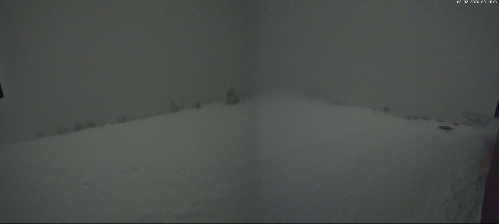 Val-d'Aigoual, Mont Aigoual East Summit (Sommet Est) Live Cam - Le Vigan, Gard, Occitanie, France