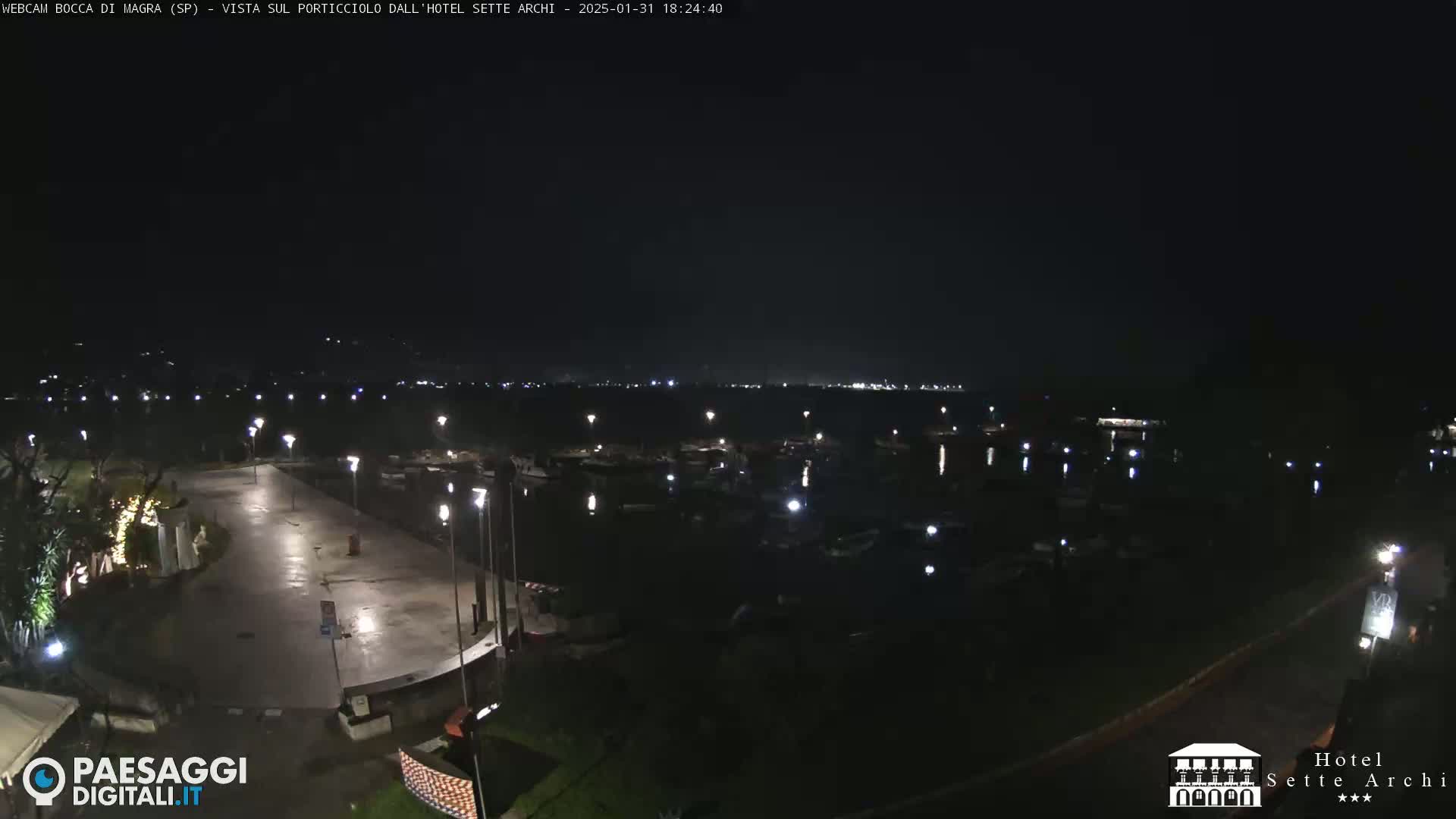 A nighttime view of a harbor filled with boats, a paved area with lights, and a dark sky.