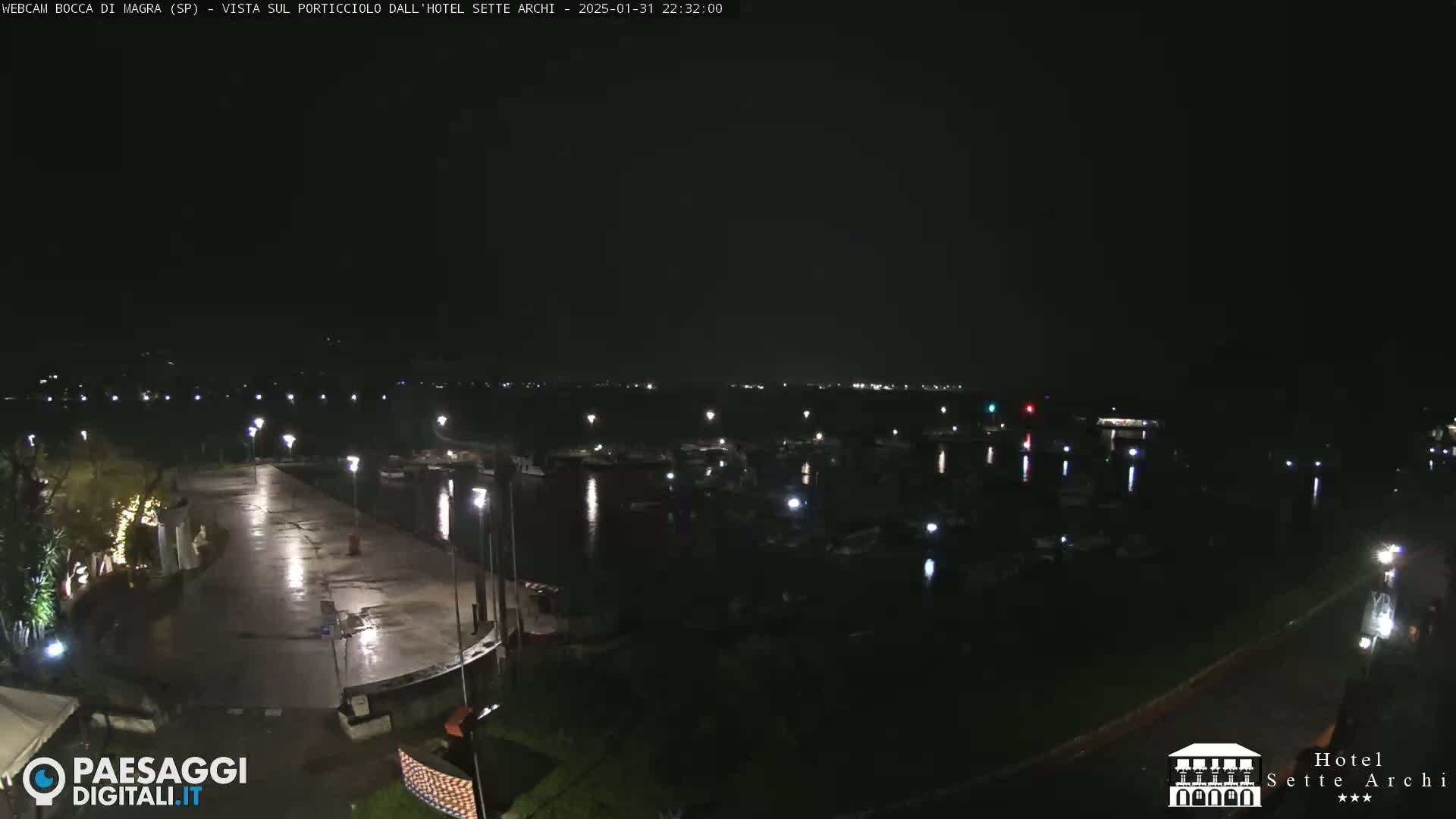 A nighttime view of a wet harbor filled with boats, seen from a slightly elevated vantage point overlooking a paved area with lights.
