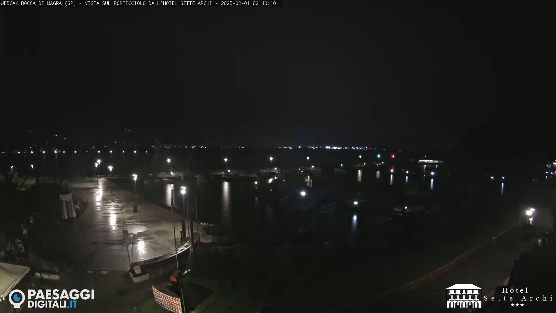 A wet, nighttime view of a marina with boats docked, illuminated by streetlights along a paved walkway.