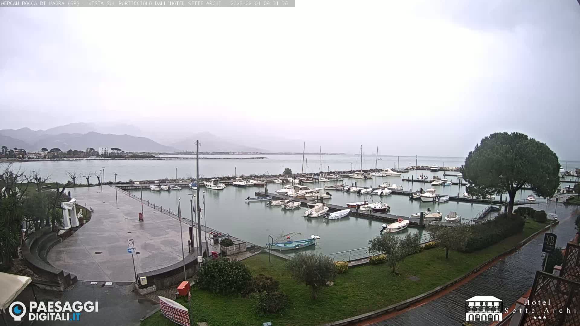 A marina filled with numerous boats is seen on an overcast day, with mountains in the distance.