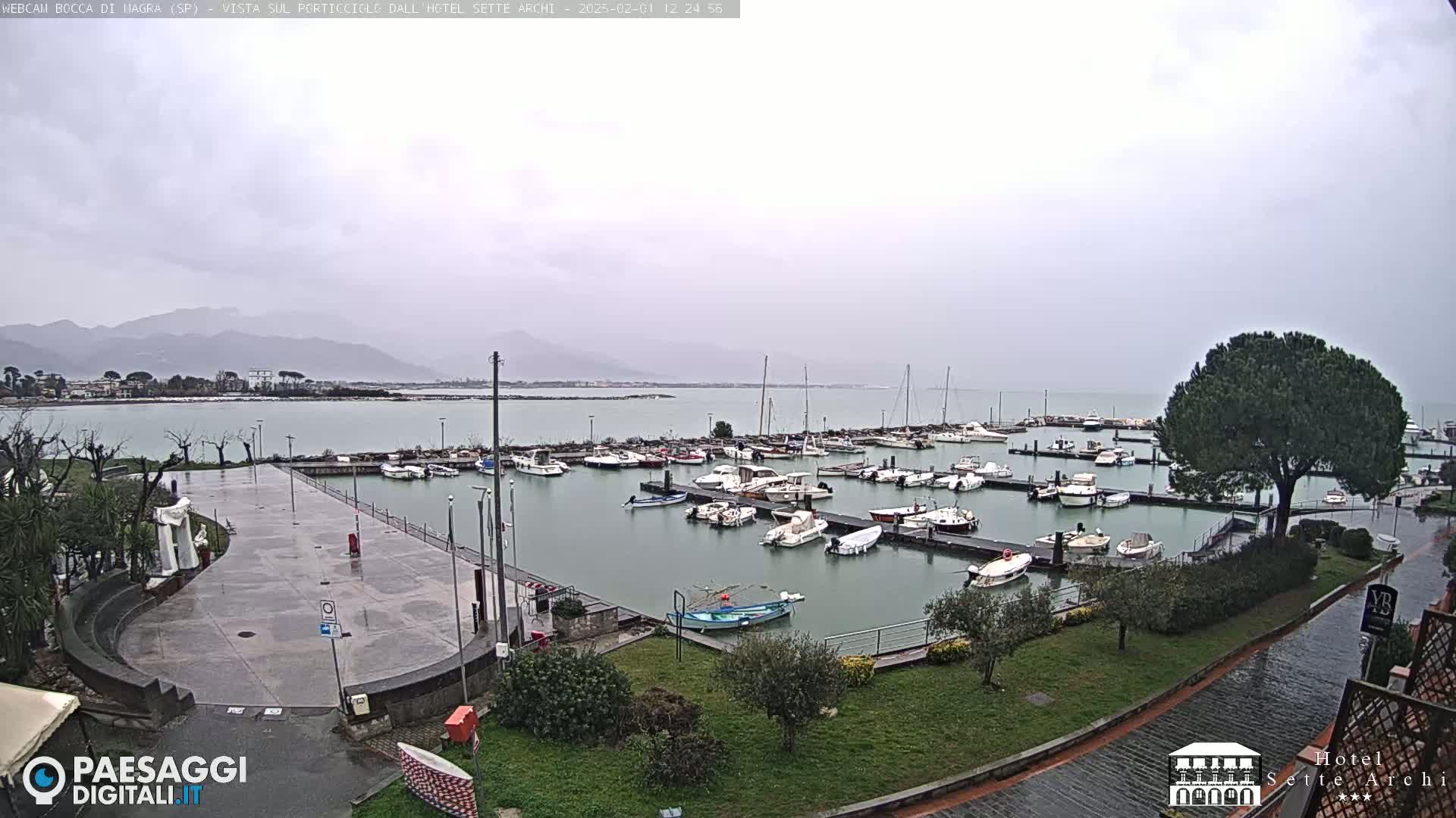 A marina filled with numerous boats is viewed from above on a cloudy day, with mountains visible in the distance.