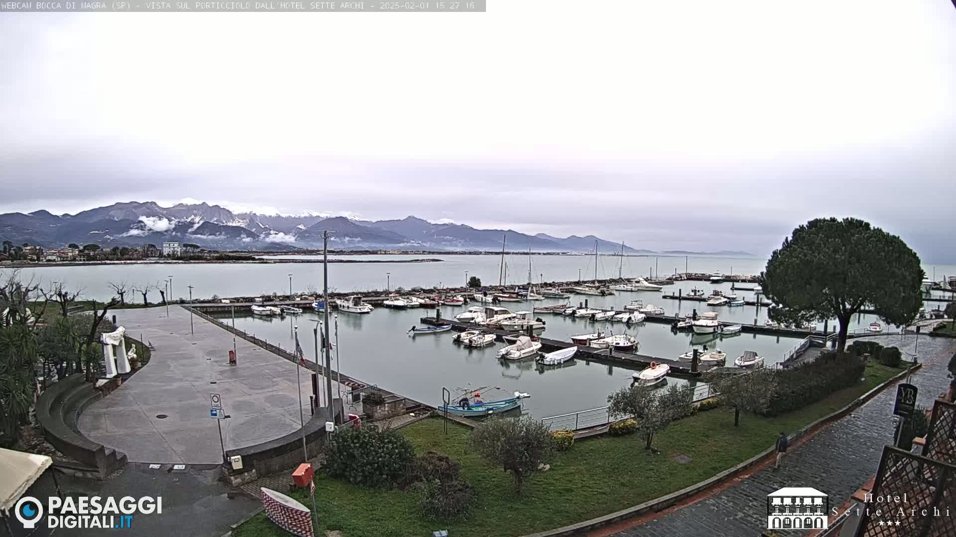 A marina filled with boats is situated on a calm body of water, overlooked by a paved plaza and a tree, with snow-capped mountains visible in the distance under an overcast sky.