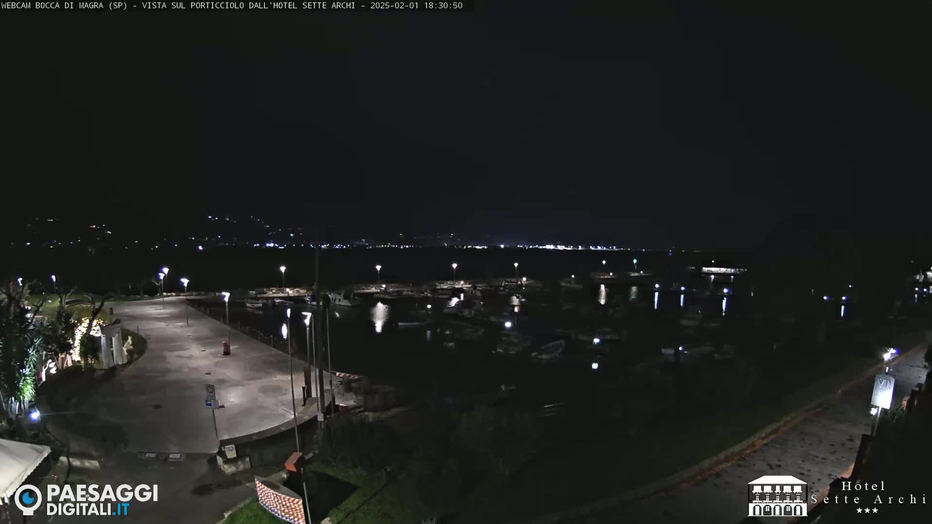 A nighttime view of a marina with many boats, a paved area with lights, and a dark, clear sky.