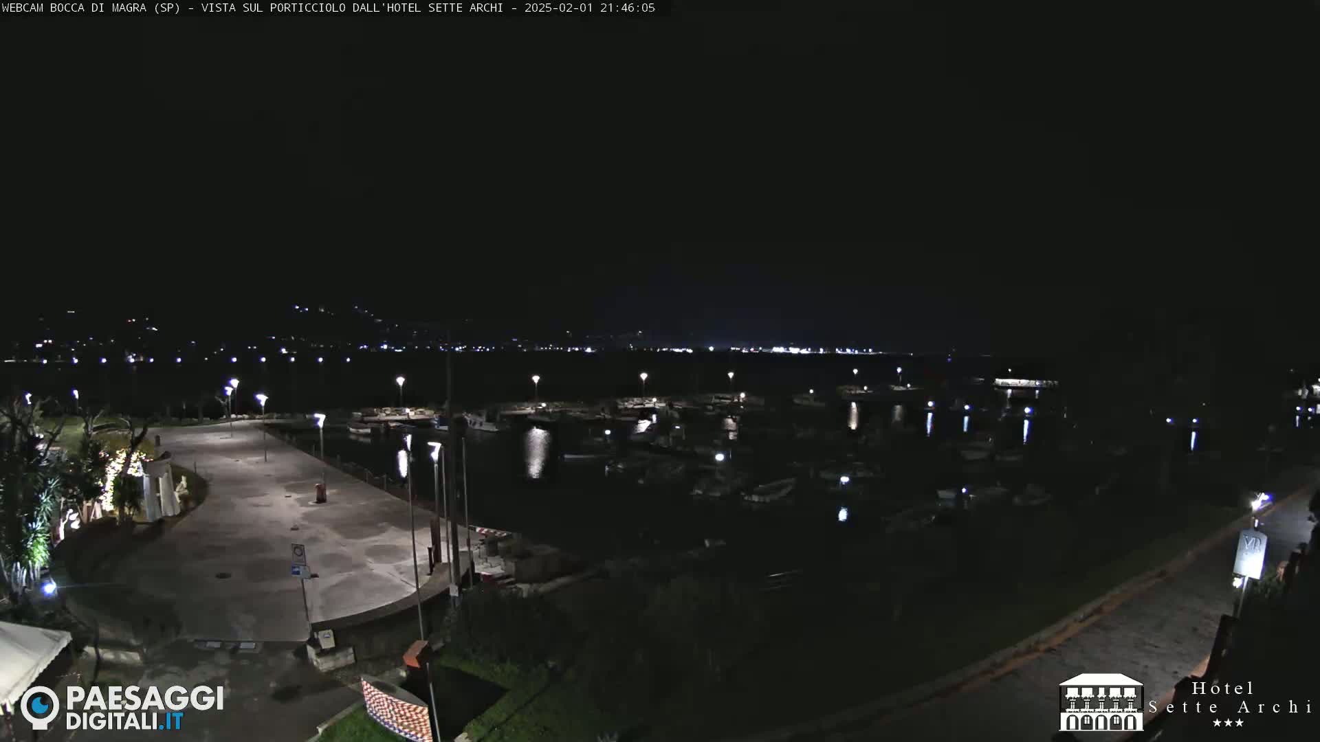 A nighttime view of a harbor filled with boats, a paved area, and some vegetation, under a clear dark sky.