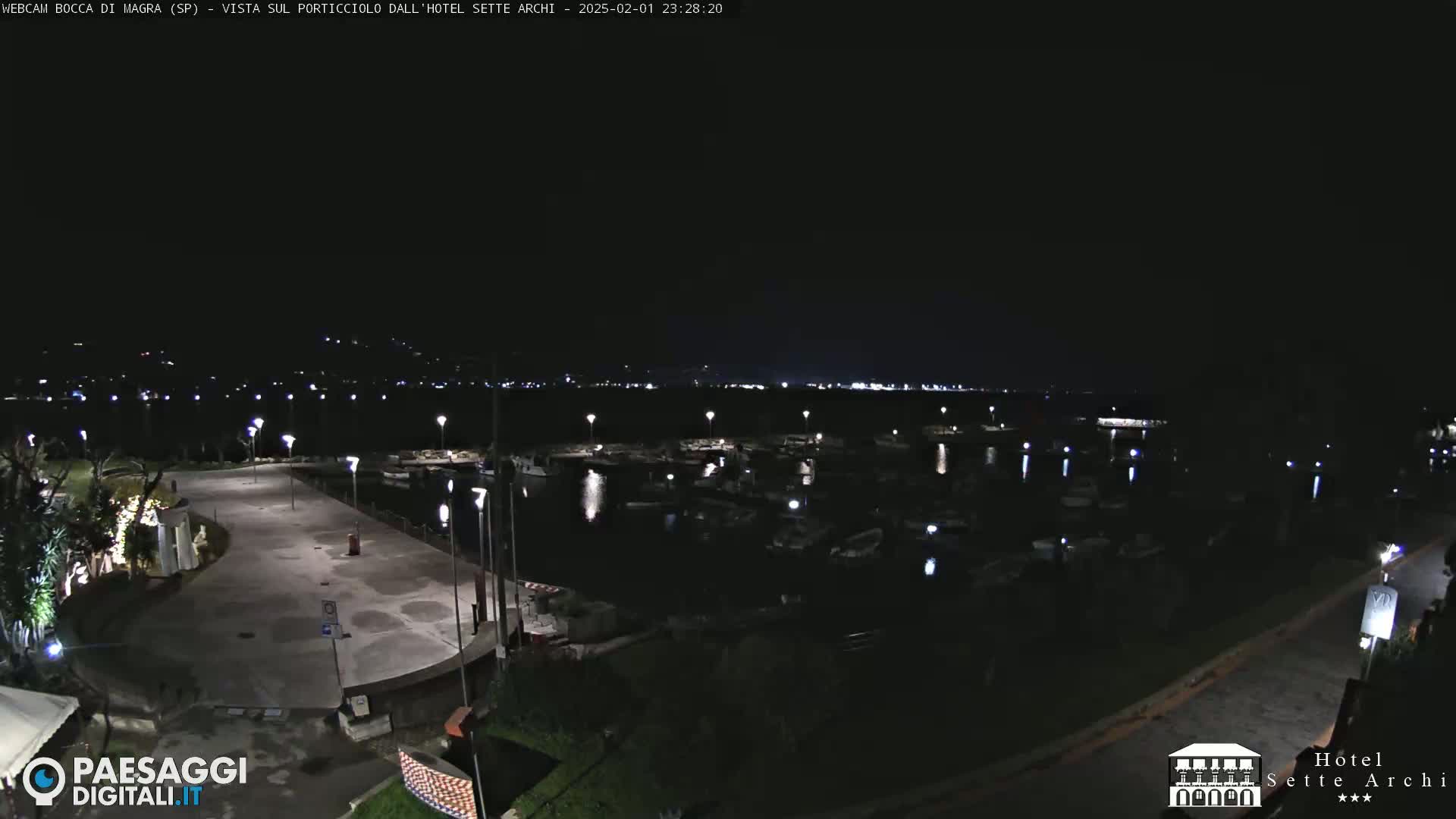 A nighttime view of a marina filled with boats, a paved area, and surrounding lights under a clear, dark sky.
