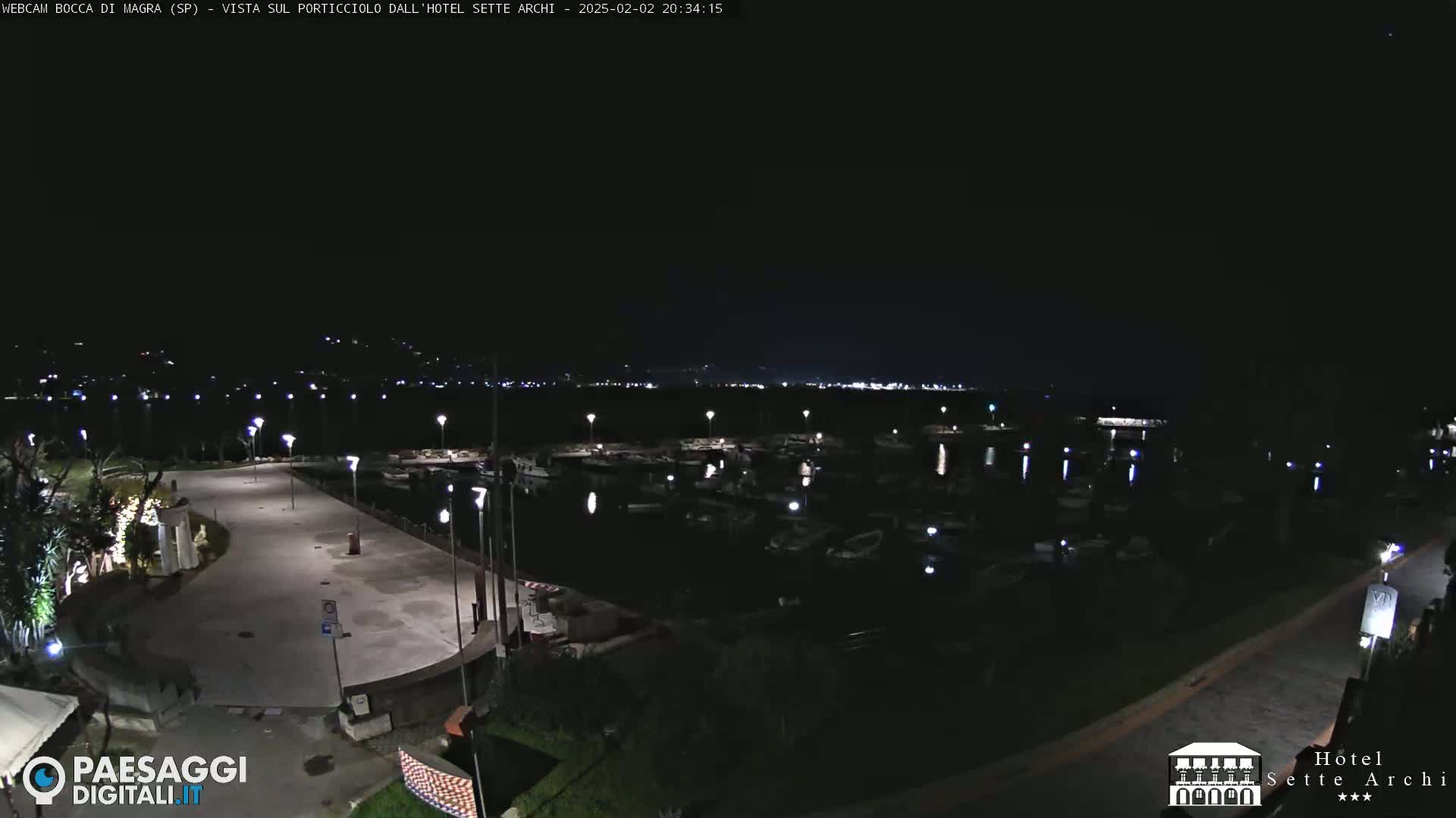 A nighttime view of a marina filled with boats, a paved waterfront area with lights, and a dark shoreline beyond.