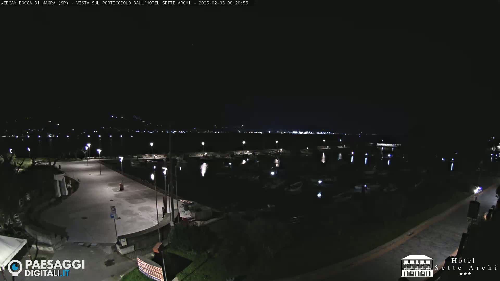 A nighttime view of a harbor filled with boats, adjacent to a paved waterfront area with streetlights, under a clear, dark sky.