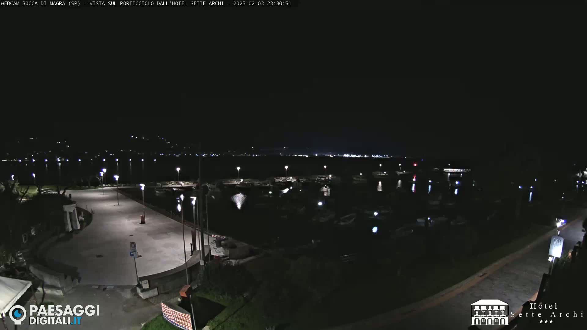 A nighttime view of a harbor filled with boats, a paved area with lights, and a dark body of water under a clear, dark sky.