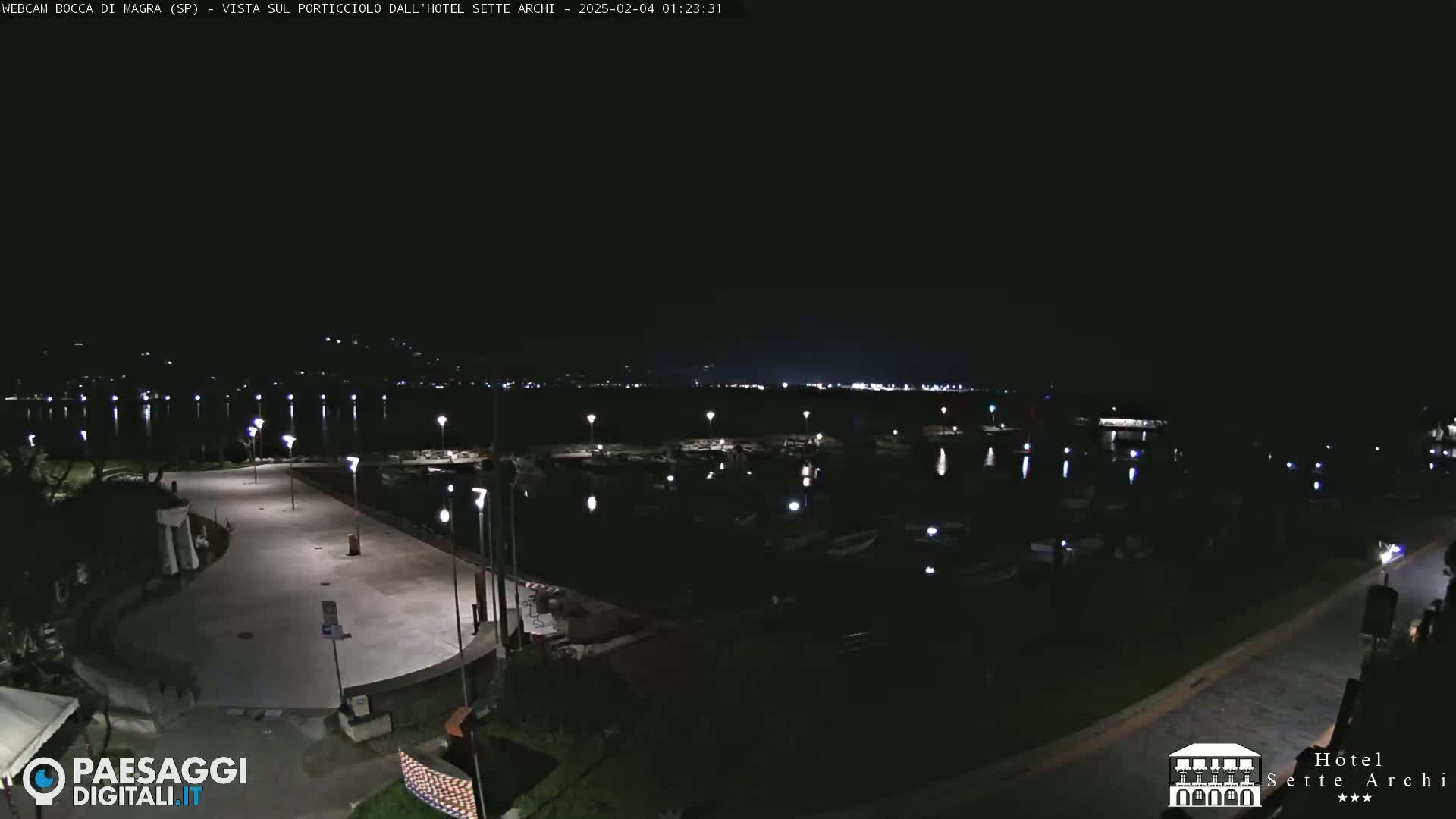 A nighttime view of a harbor filled with boats, a paved waterfront area with lights, and a dark, clear sky.