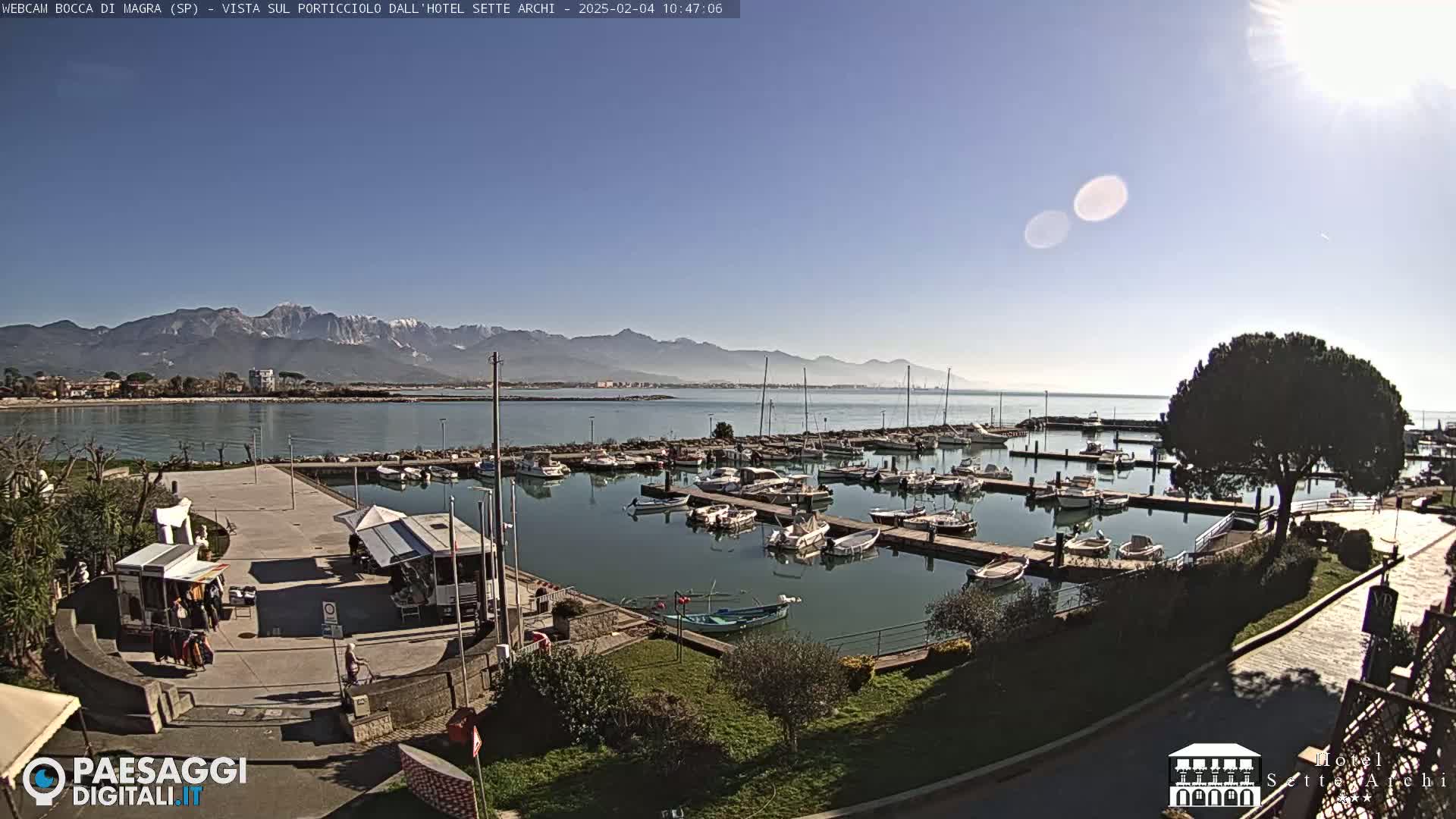 A marina filled with boats is situated on calm water, under a clear sunny sky, with snow-capped mountains visible in the distance.