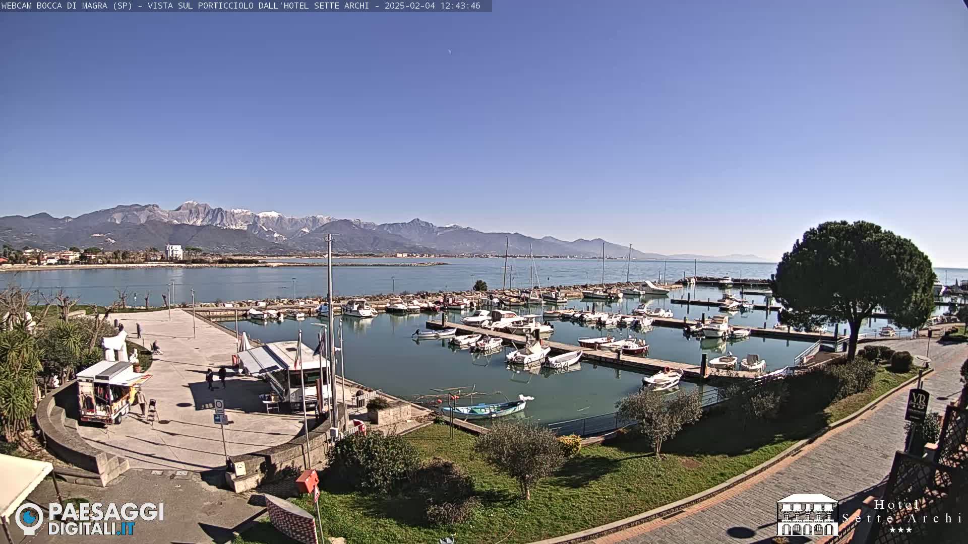 A marina filled with boats is situated on a calm body of water, with snow-capped mountains visible in the distance under a clear blue sky.