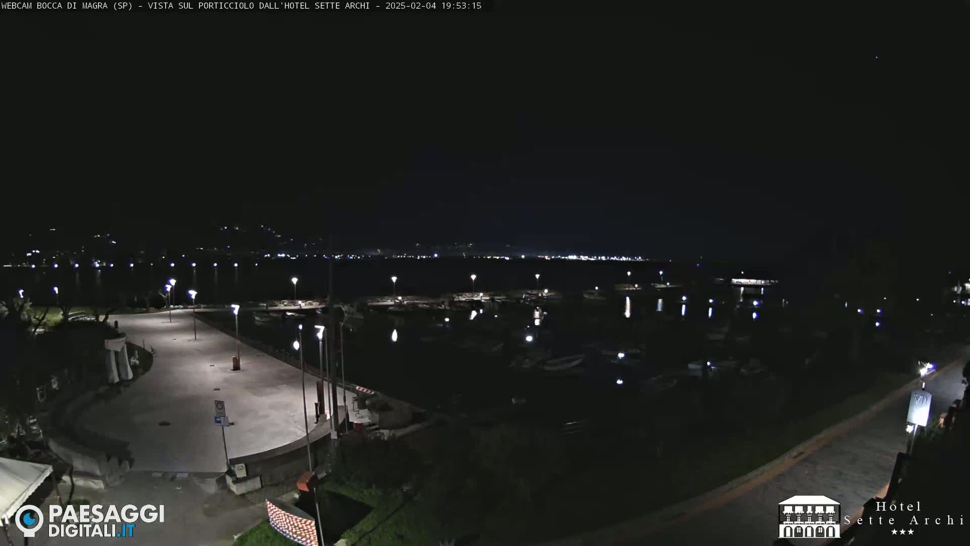 A nighttime view of a harbor filled with boats, adjacent to a paved area with streetlights, under a clear, dark sky.