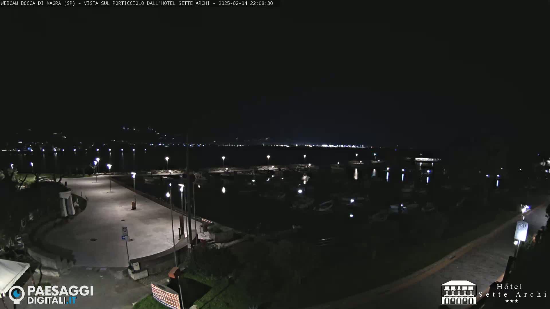 A nighttime view of a harbor filled with boats, a paved waterfront area with lights, and a dark, clear sky.