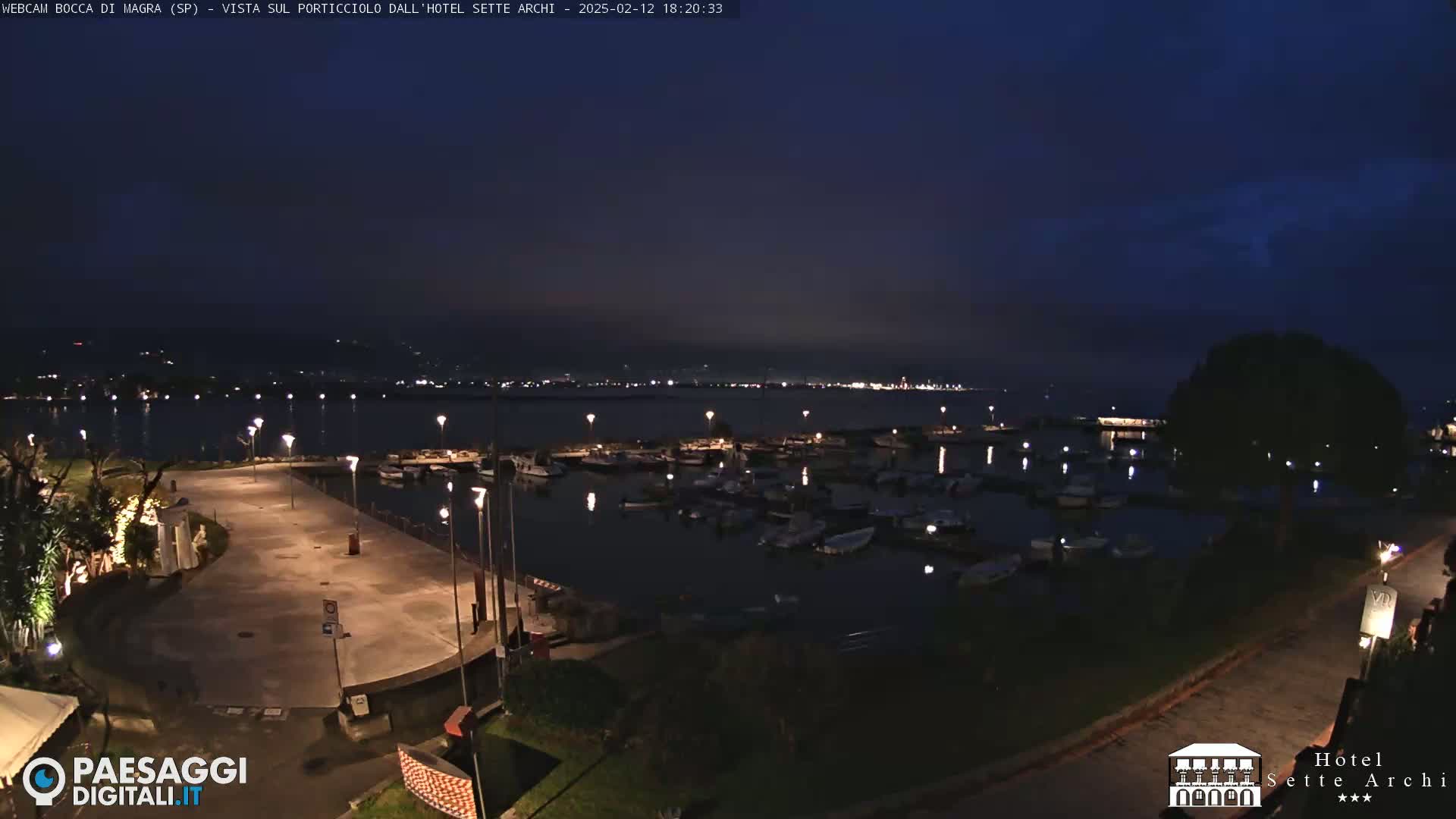 A nighttime view of a harbor filled with boats, a paved walkway, and dimly lit landscaping, under a dark, clear sky.