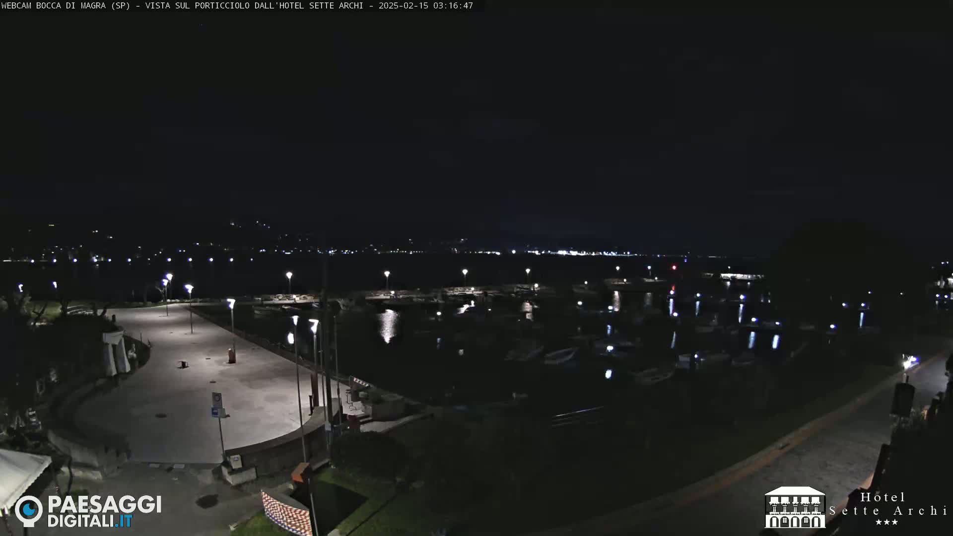 A nighttime view of a marina with many boats, a paved area with lights, and a dark shoreline under a clear, starless sky.