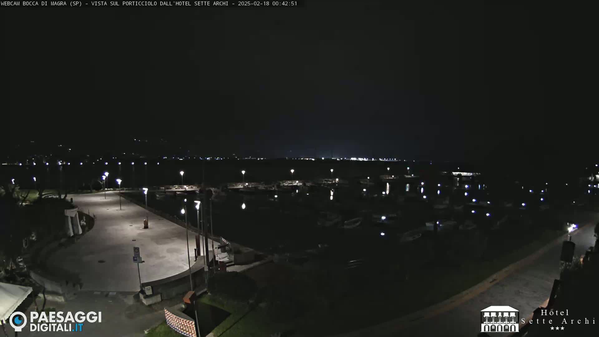 A nighttime view of a harbor filled with boats, a paved area with lights, and a dark sky.