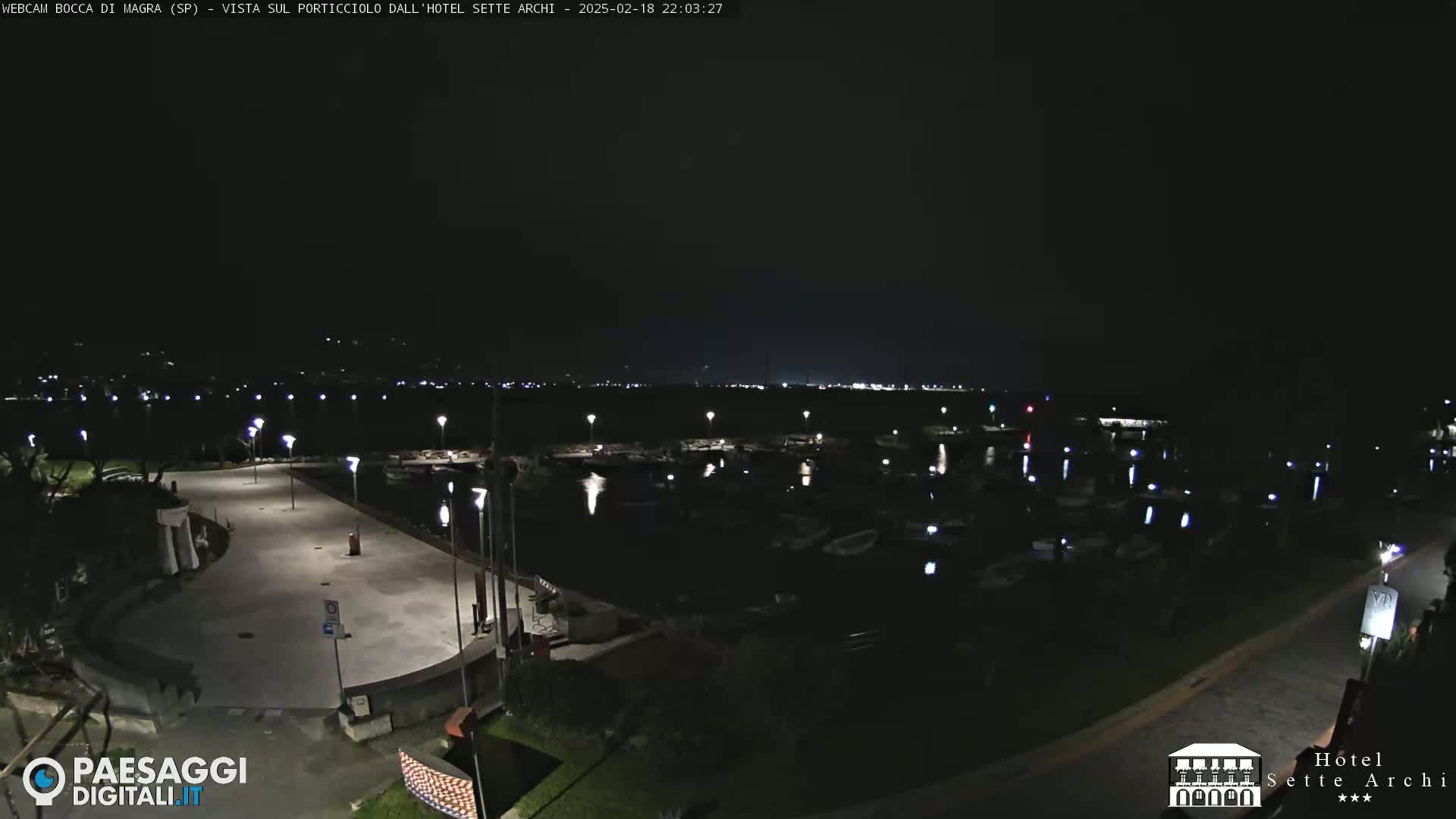 A nighttime view of a marina filled with boats, alongside a paved waterfront area with lights, under a dark, clear sky.