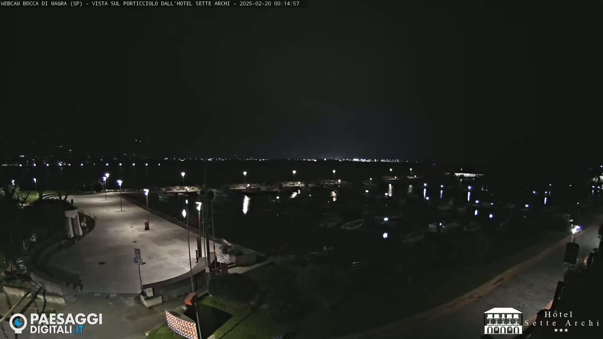 A nighttime view of a marina with many boats docked, illuminated by streetlights, under a clear, dark sky.
