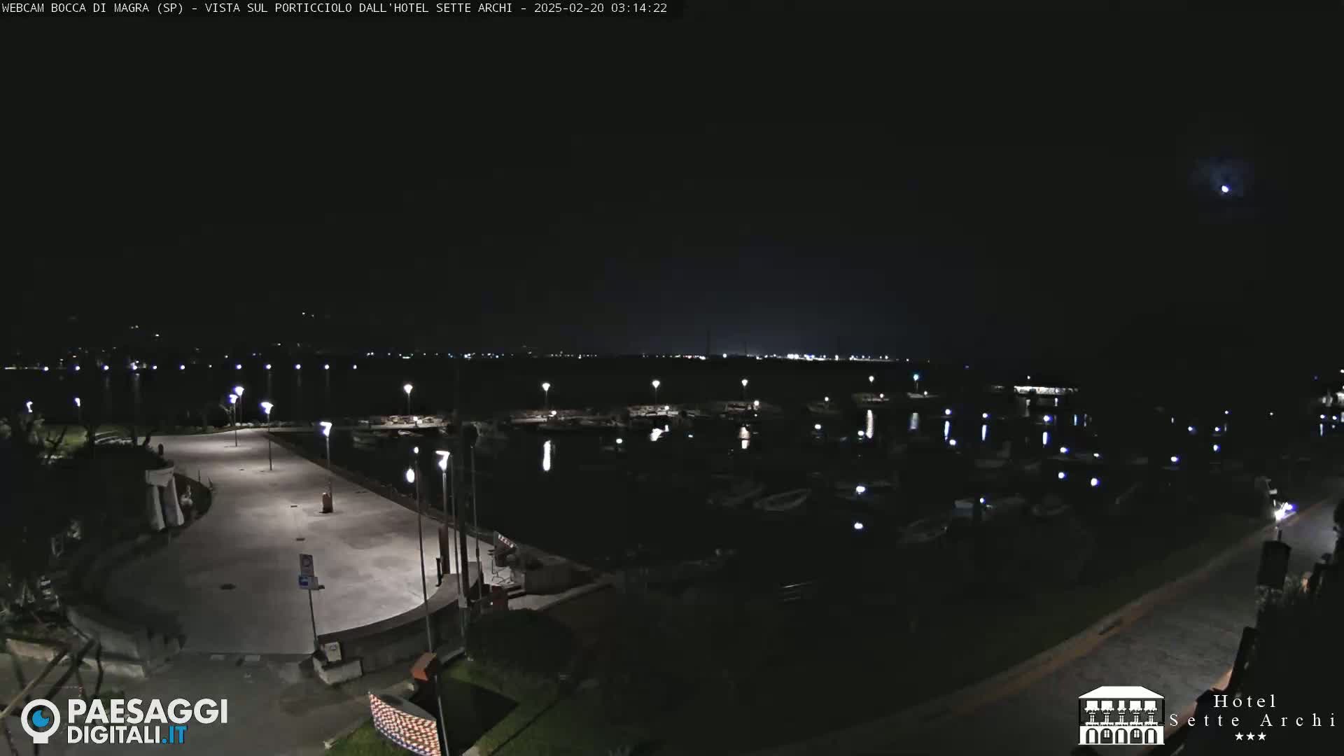 A nighttime, illuminated view of a marina filled with boats, adjacent to a paved area with streetlights, under a mostly clear night sky.