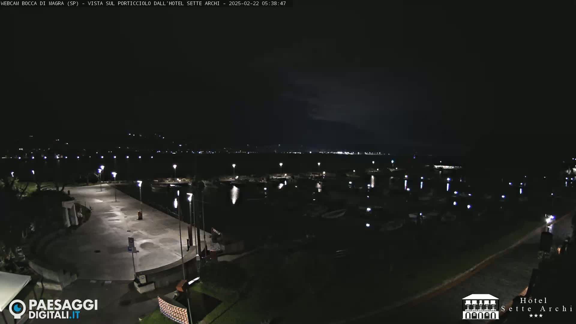 A nighttime aerial view of a marina with numerous boats, a paved area, and some surrounding greenery under a dark sky.