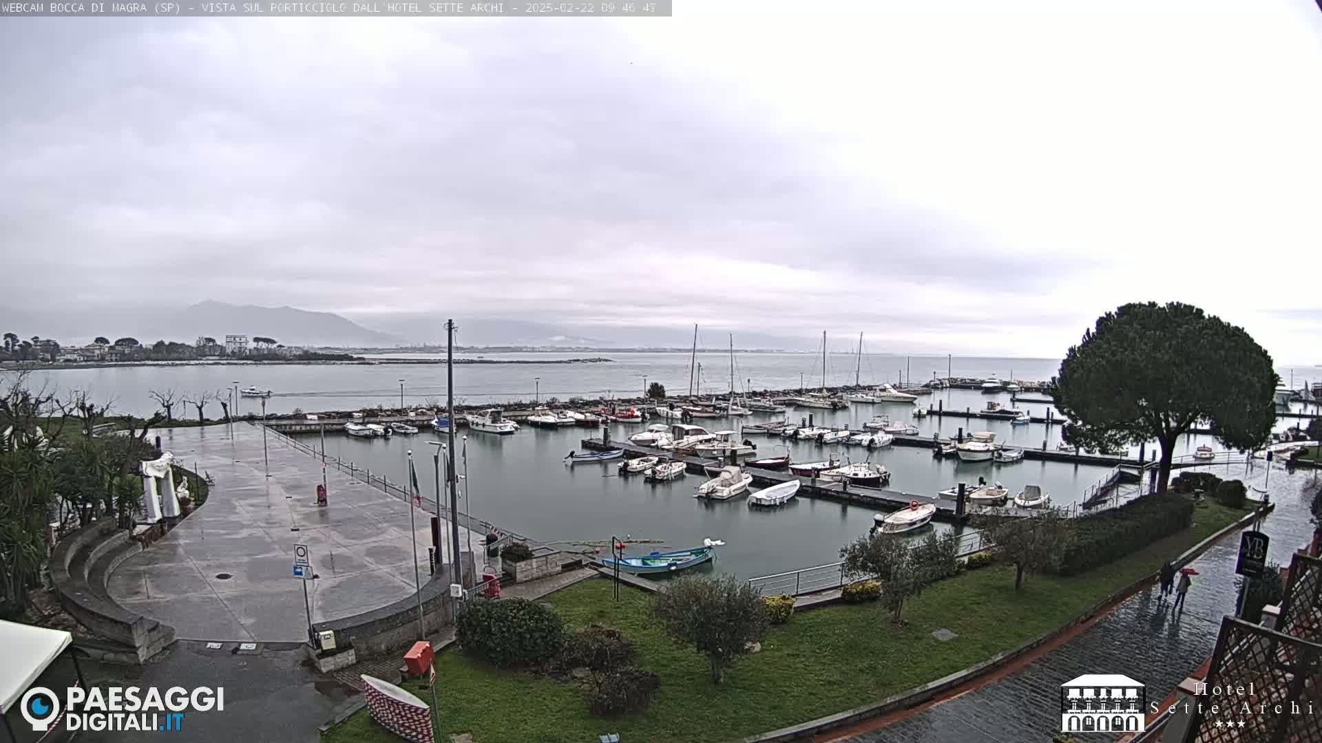 A harbor filled with numerous boats is viewed from a slightly elevated position on an overcast day, with a paved area and green landscaping in the foreground.