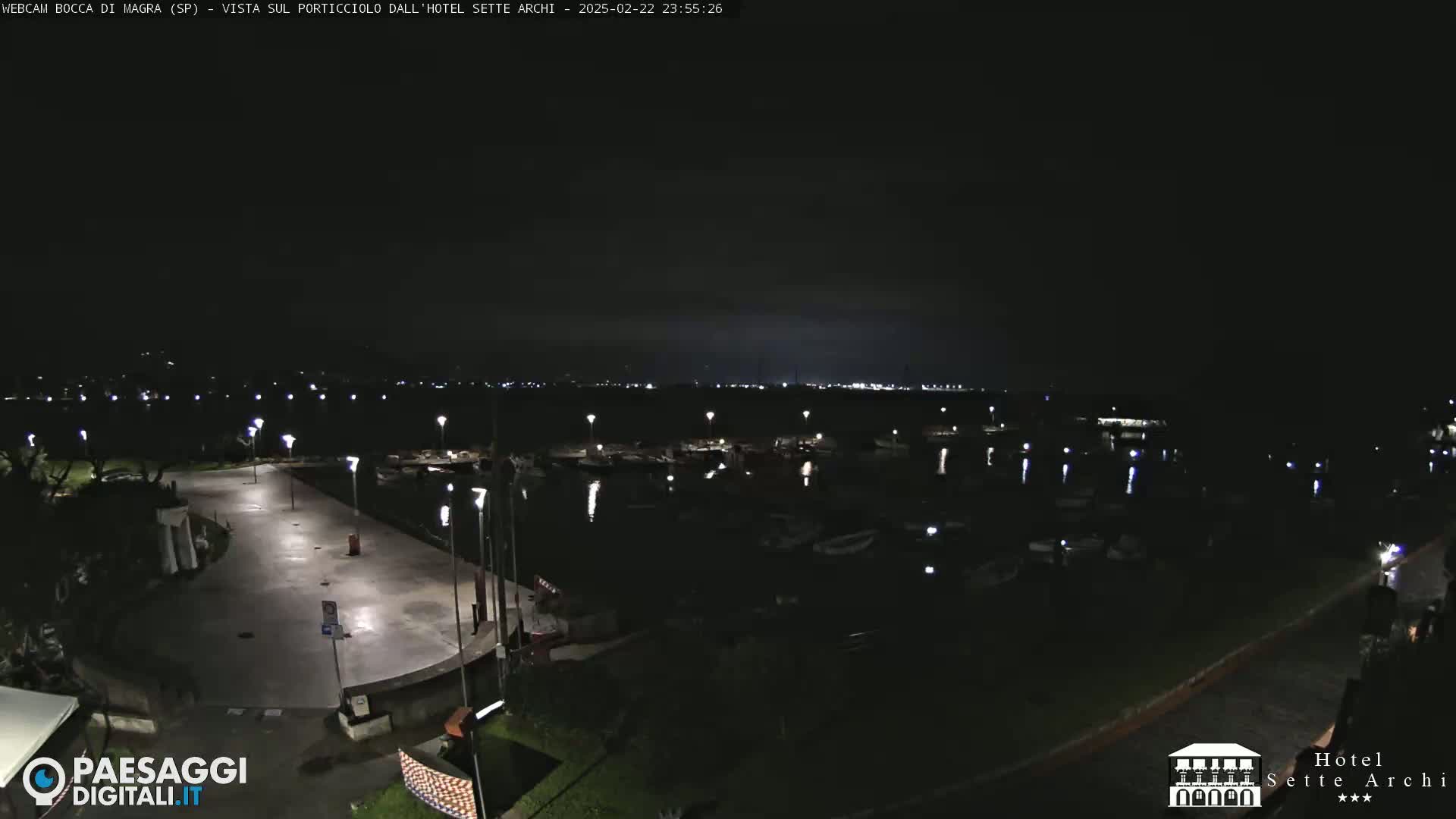 A nighttime view of a marina with boats and a paved area, under a dark sky.