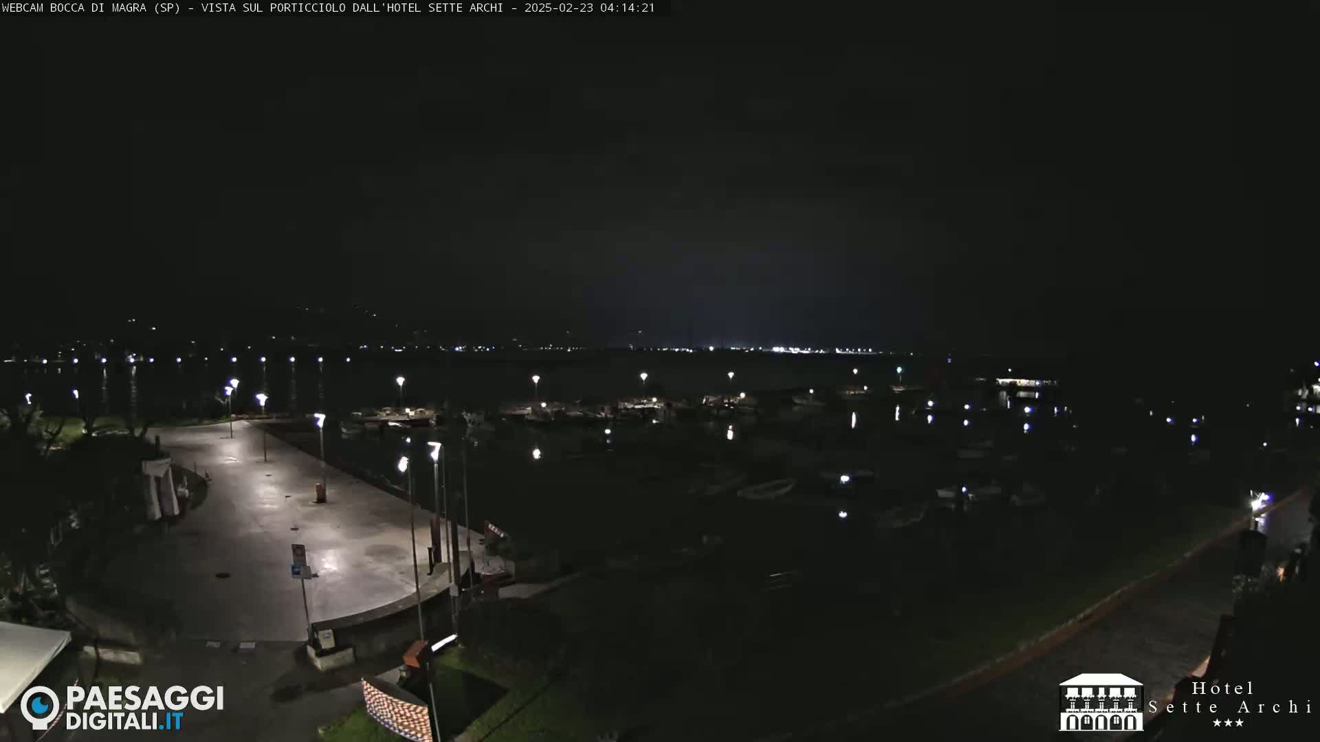 A nighttime view of a harbor filled with boats, a paved area with lights, and a dark, clear sky.