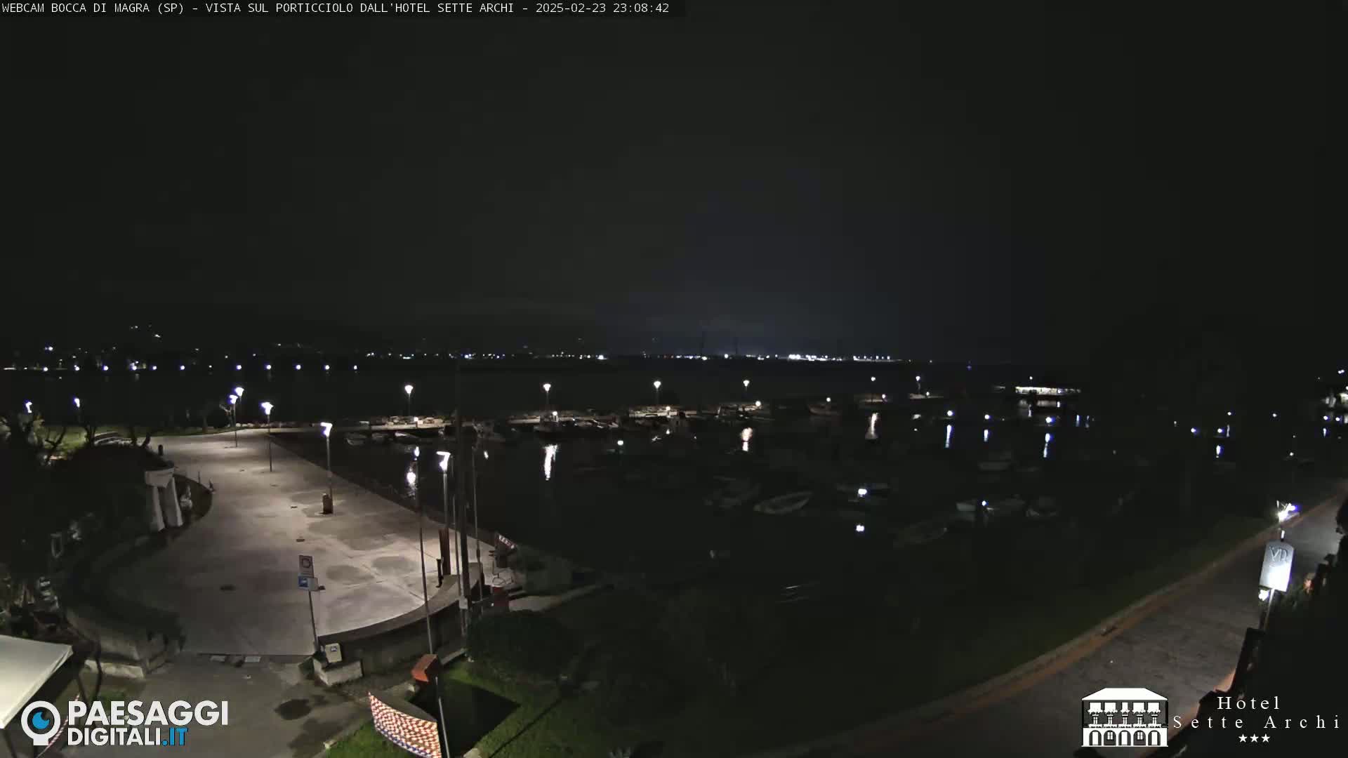 A nighttime view of a marina with boats docked, illuminated by streetlights, under a dark sky.