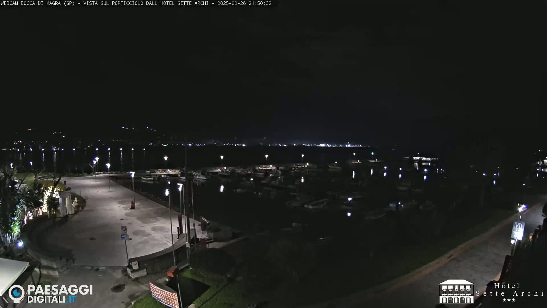 A nighttime view of a harbor filled with boats, a paved area, and some vegetation, under a clear, dark sky.
