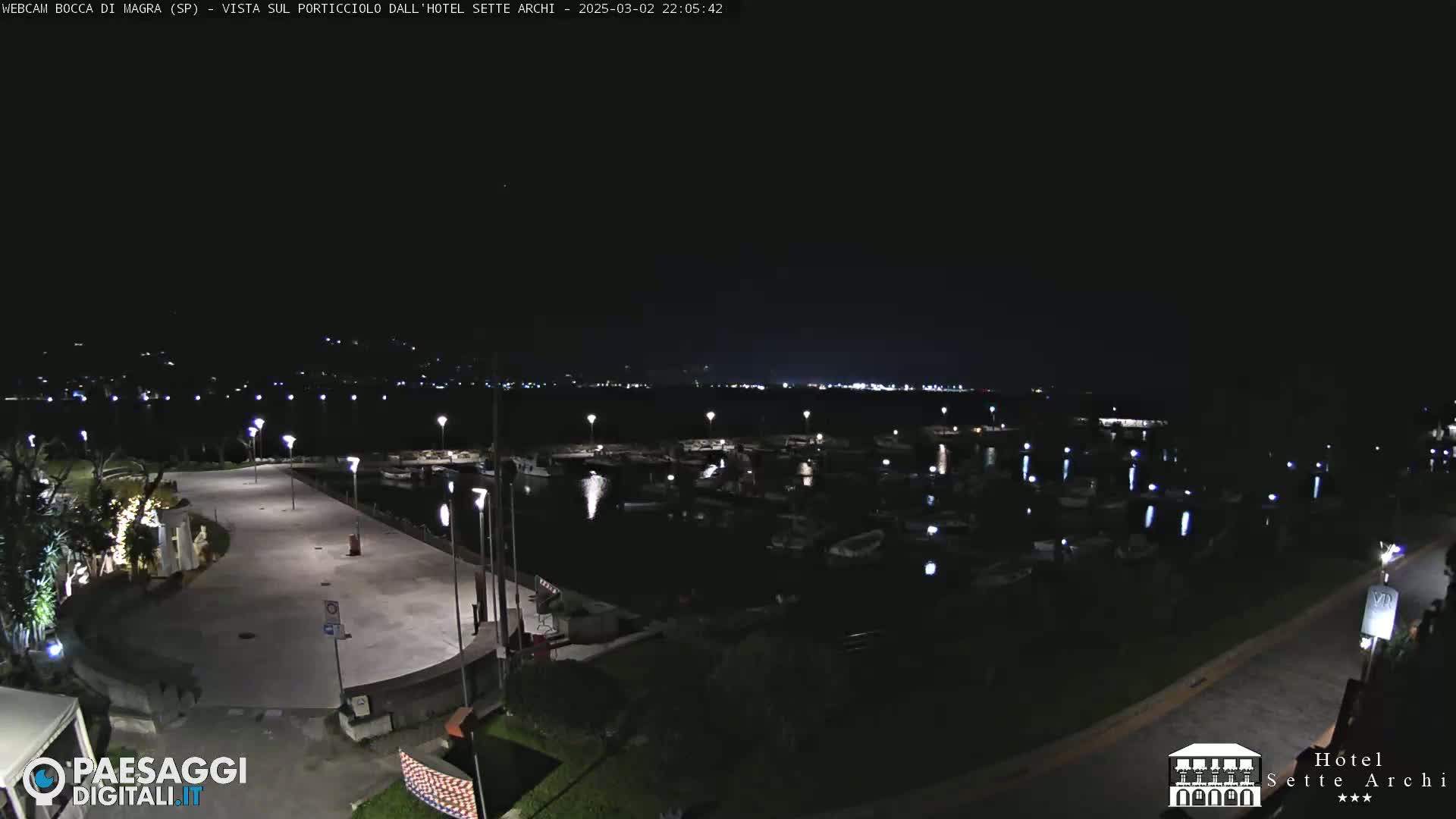 A nighttime view of a marina filled with boats, a paved waterfront area with lights, and a dark shoreline under a clear night sky.