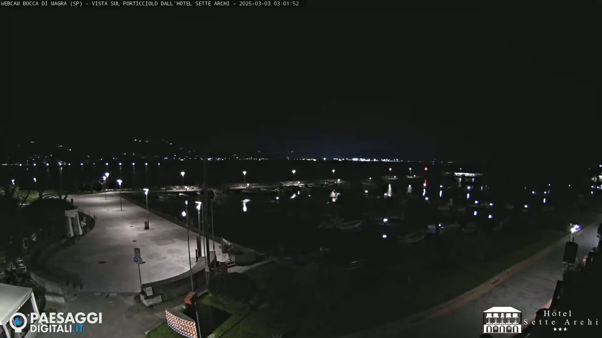 A nighttime view of a marina with many boats, a paved walkway, and some lights illuminating the scene.