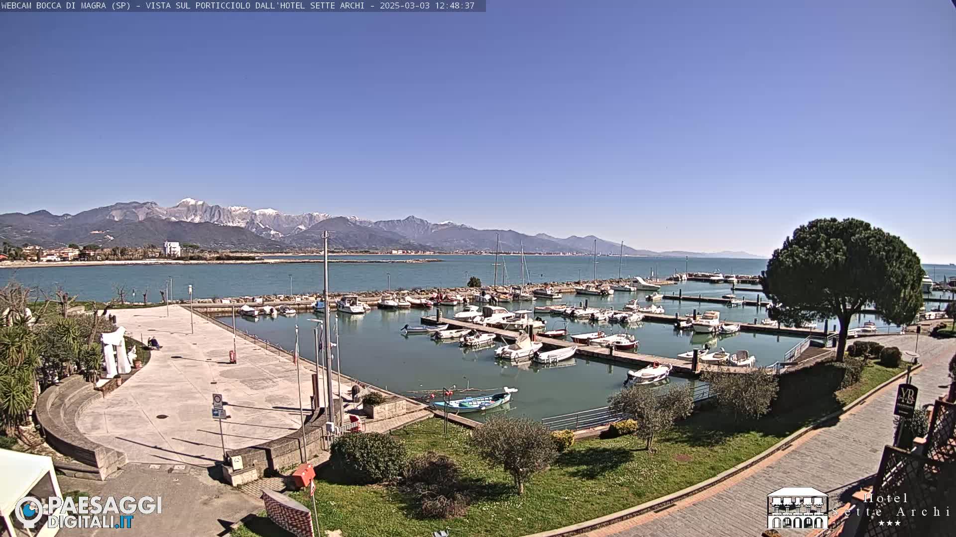 A marina filled with boats is situated near a paved area and a tree, overlooking a calm body of water and snow-capped mountains under a clear blue sky.