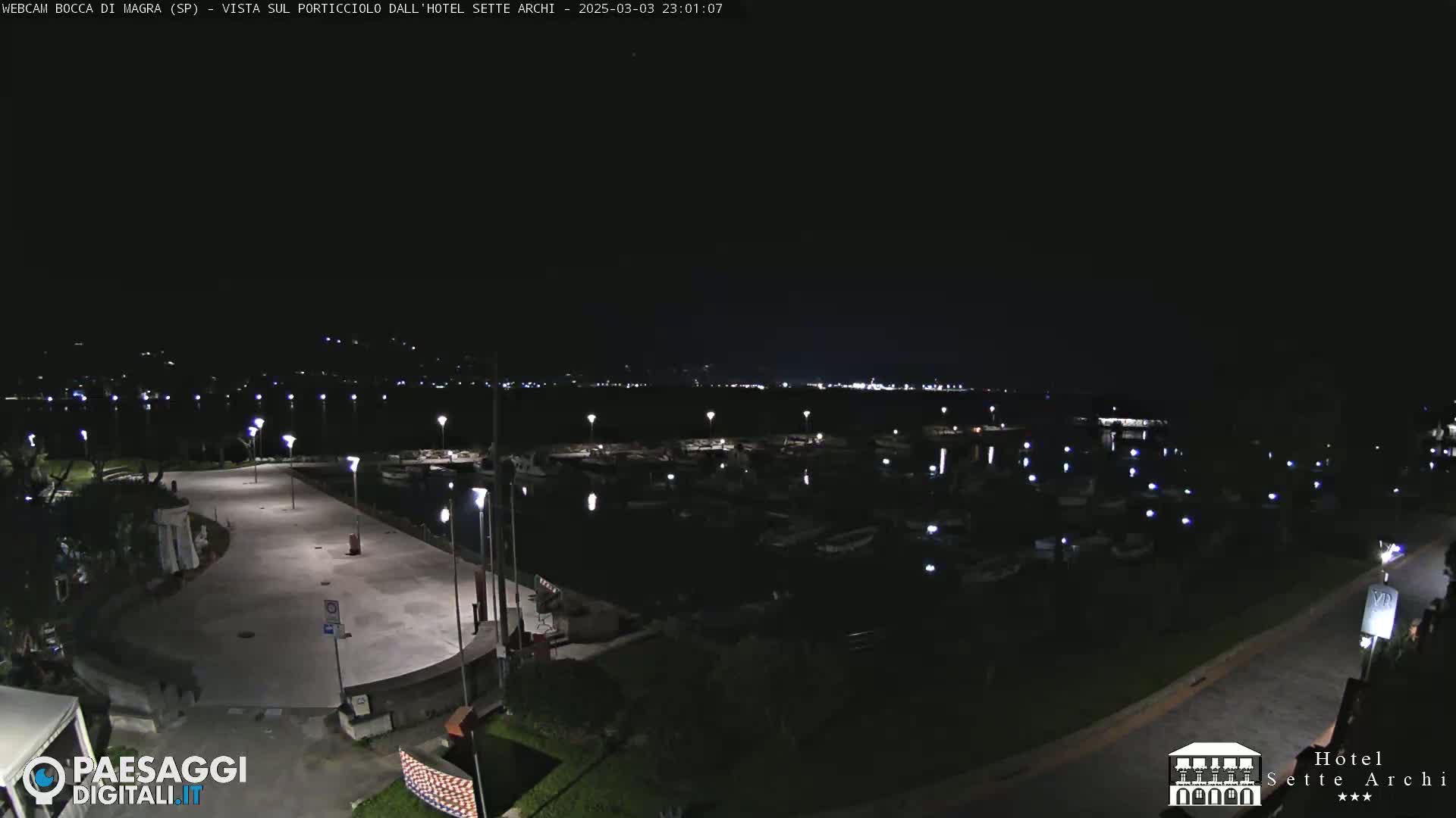 A nighttime view of a harbor filled with boats, a paved waterfront area with lights, and surrounding dark land.