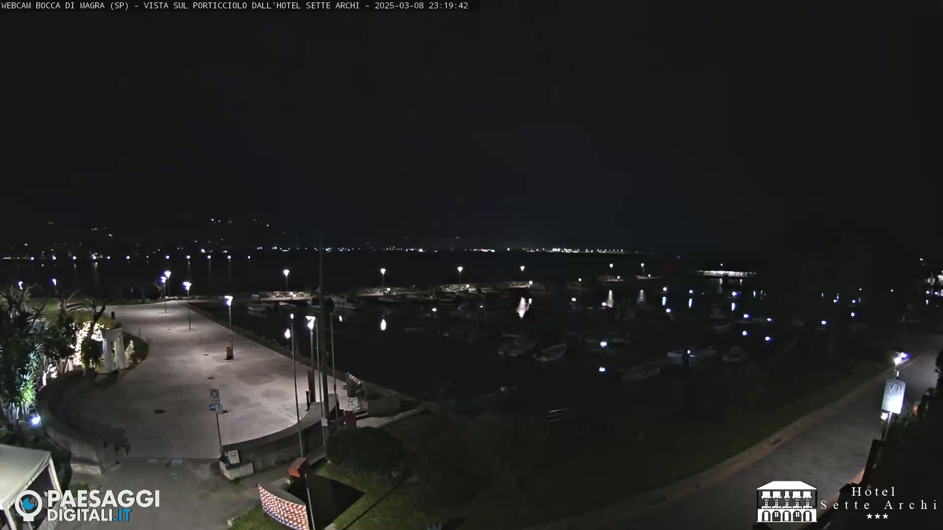 A nighttime view of a harbor filled with boats, a paved waterfront area with lights, and a dark, clear sky.