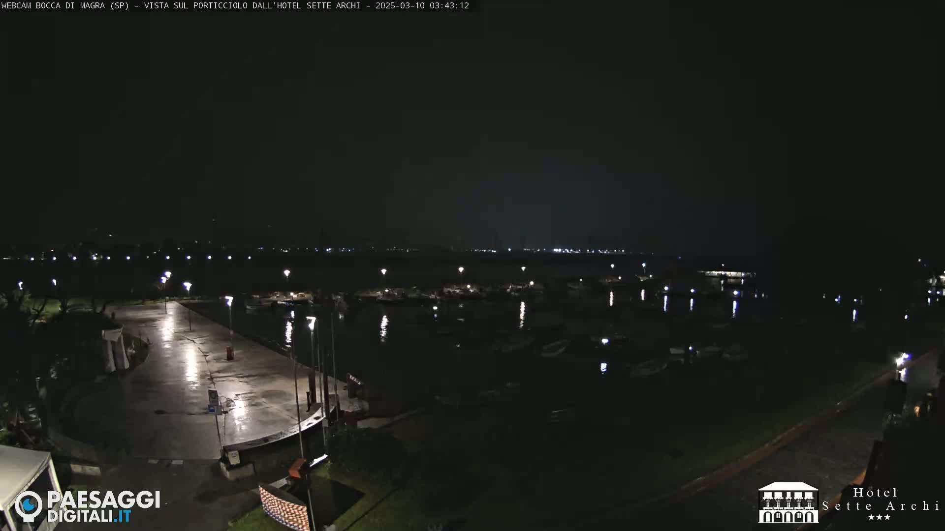 A nighttime view of a harbor with many boats docked, a wet paved area, and some surrounding trees under a dark sky.