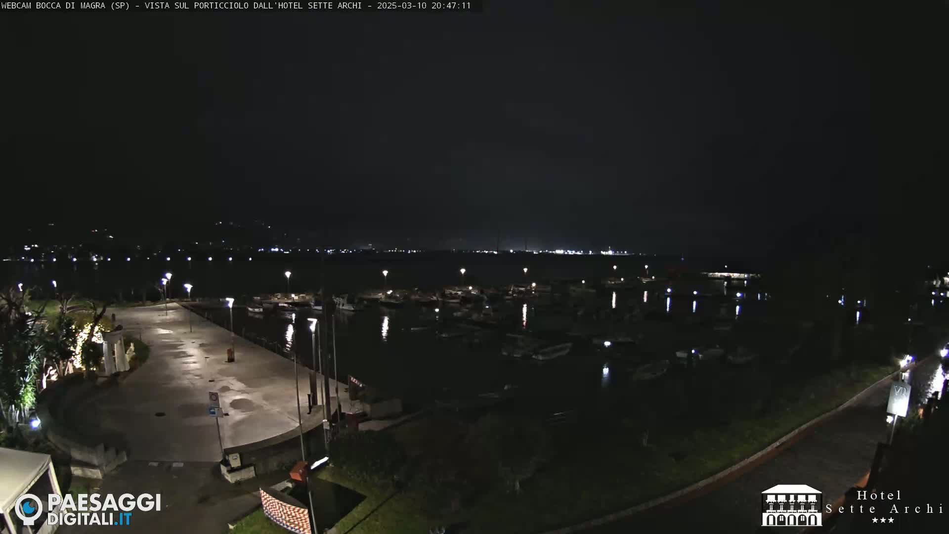 A nighttime view of a harbor filled with boats, a paved area, and surrounding greenery under a dark sky.