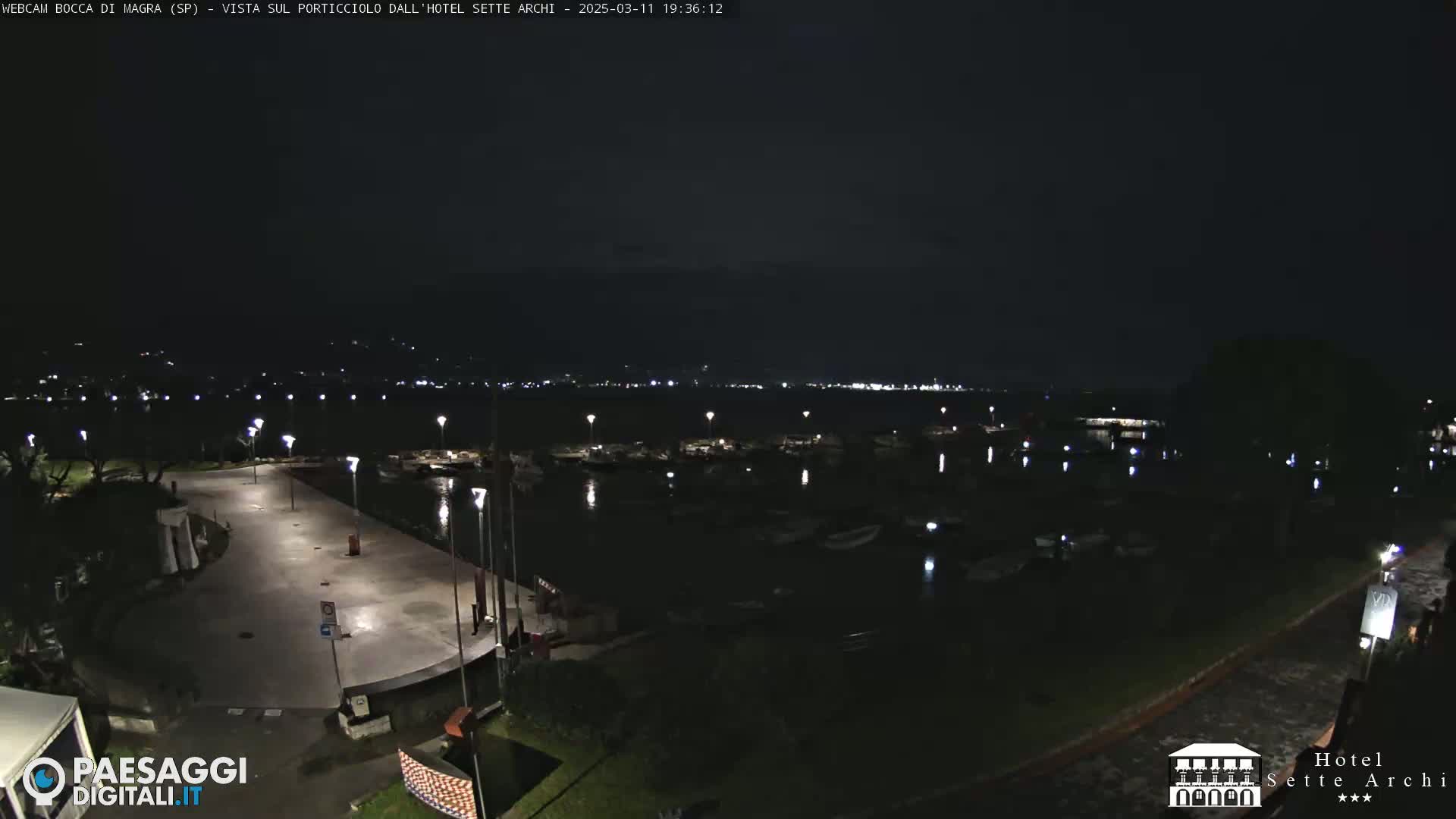 A nighttime view of a harbor with boats moored, a paved area, and surrounding lights, under a dark, clear sky.